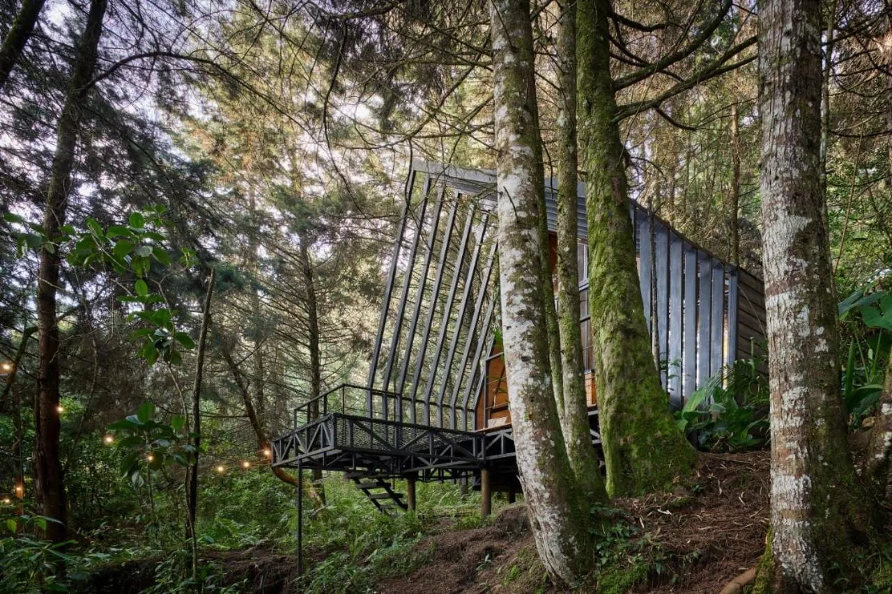 Day in Oculto refugio de bosque