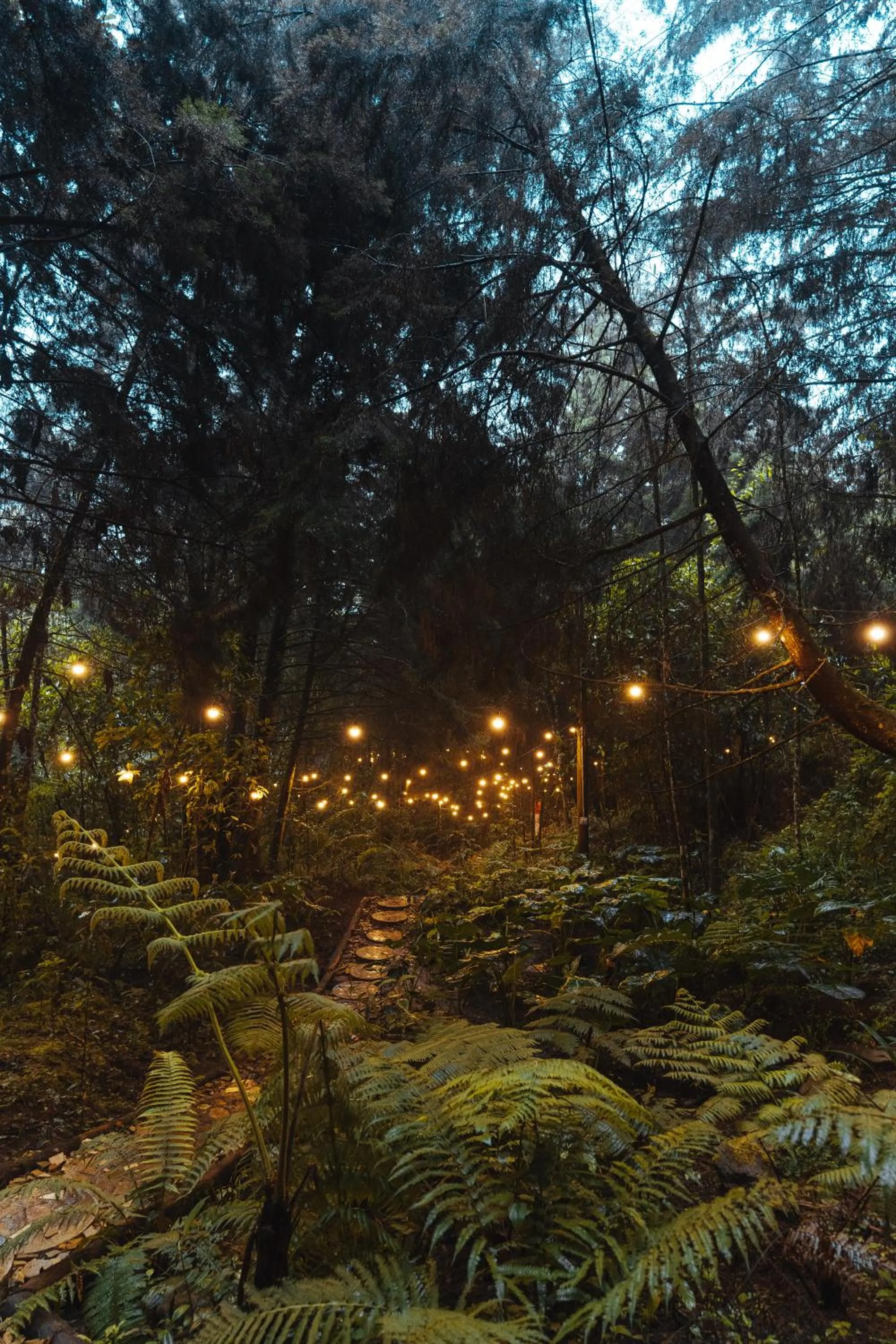 Natural landscape in Oculto refugio de bosque