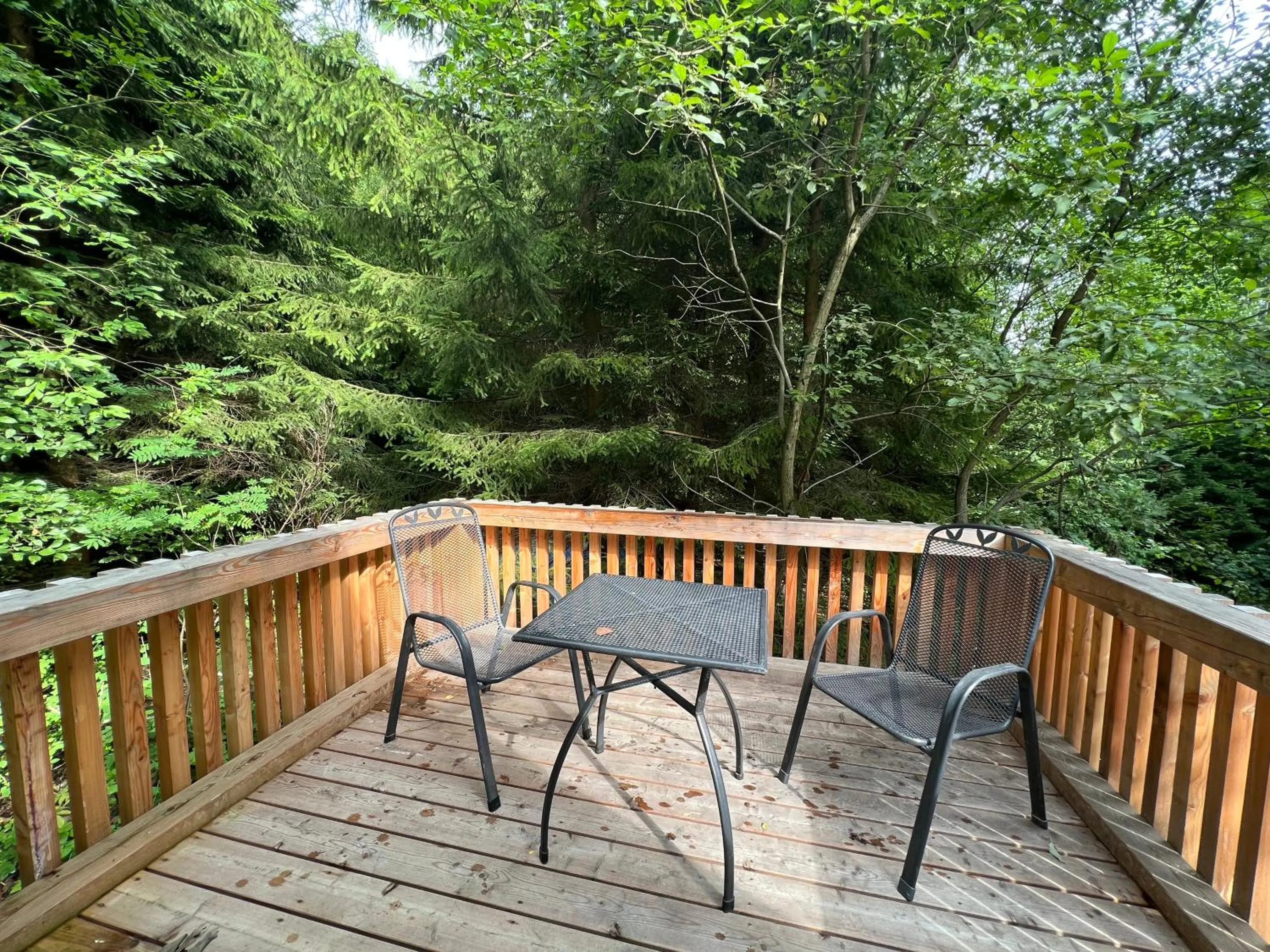 Natural landscape in Apartmány NONE