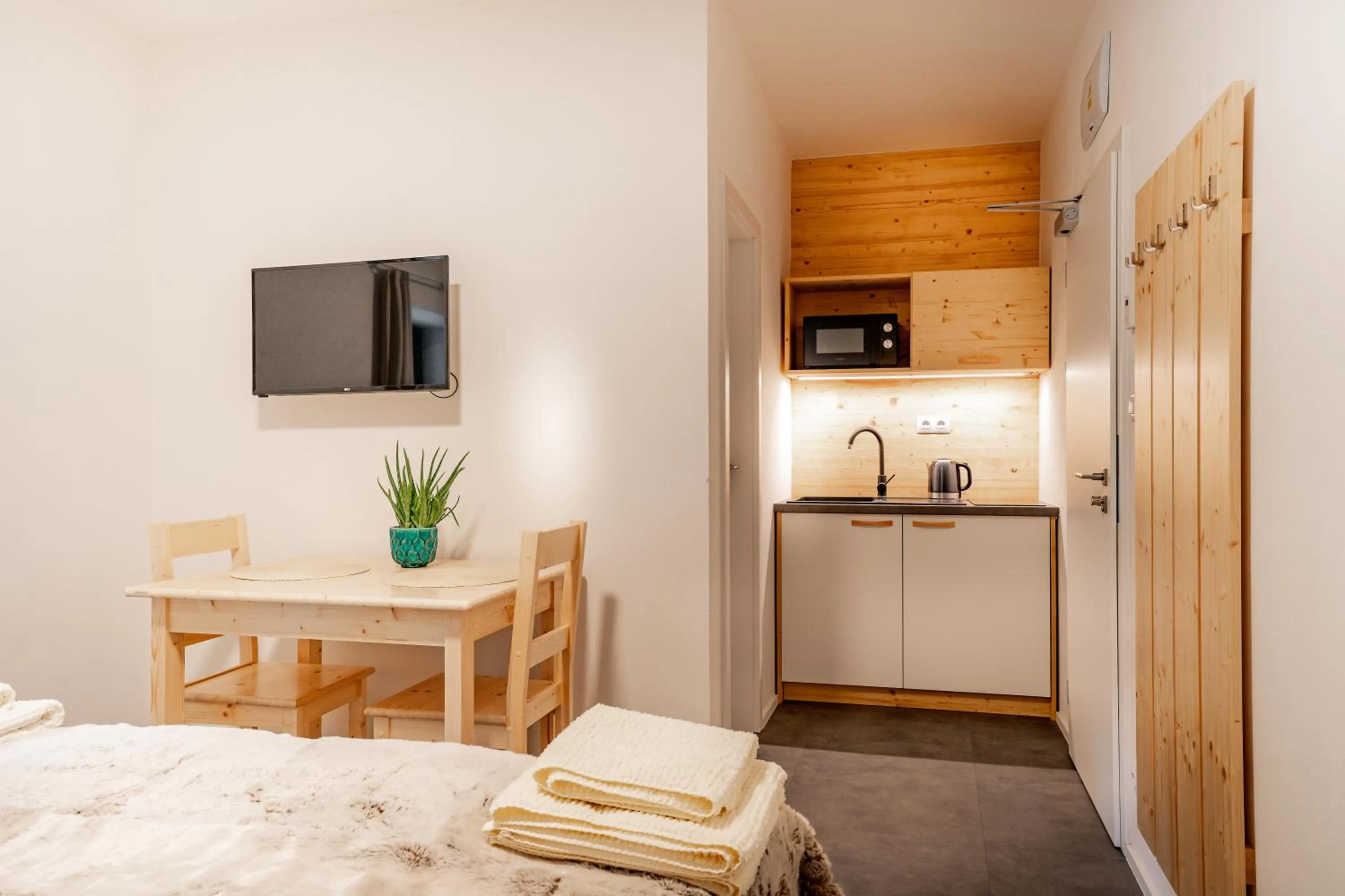 TV and multimedia in Apartmány NONE