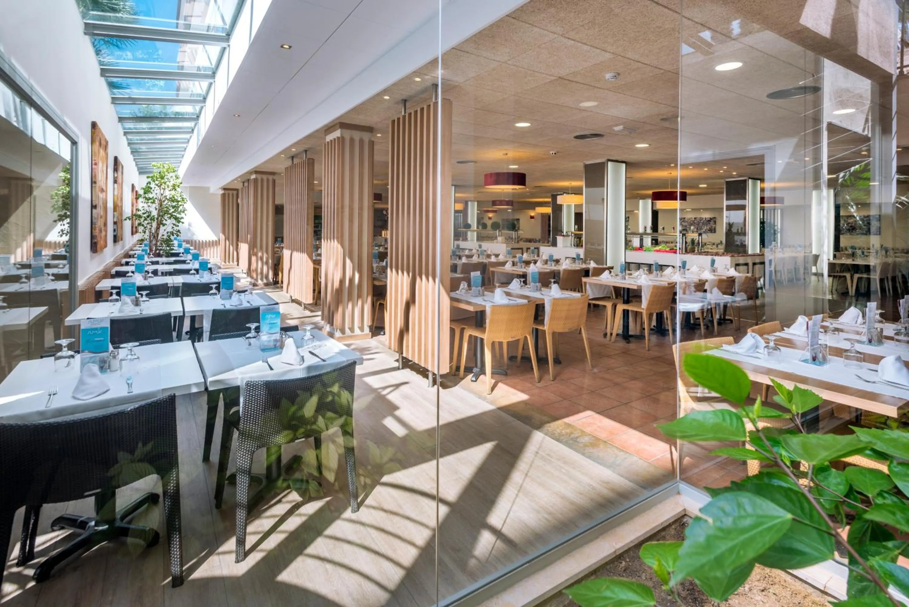 Restaurant/places to eat in Sumus Hotel Stella and Spa 4S Adults Recommended