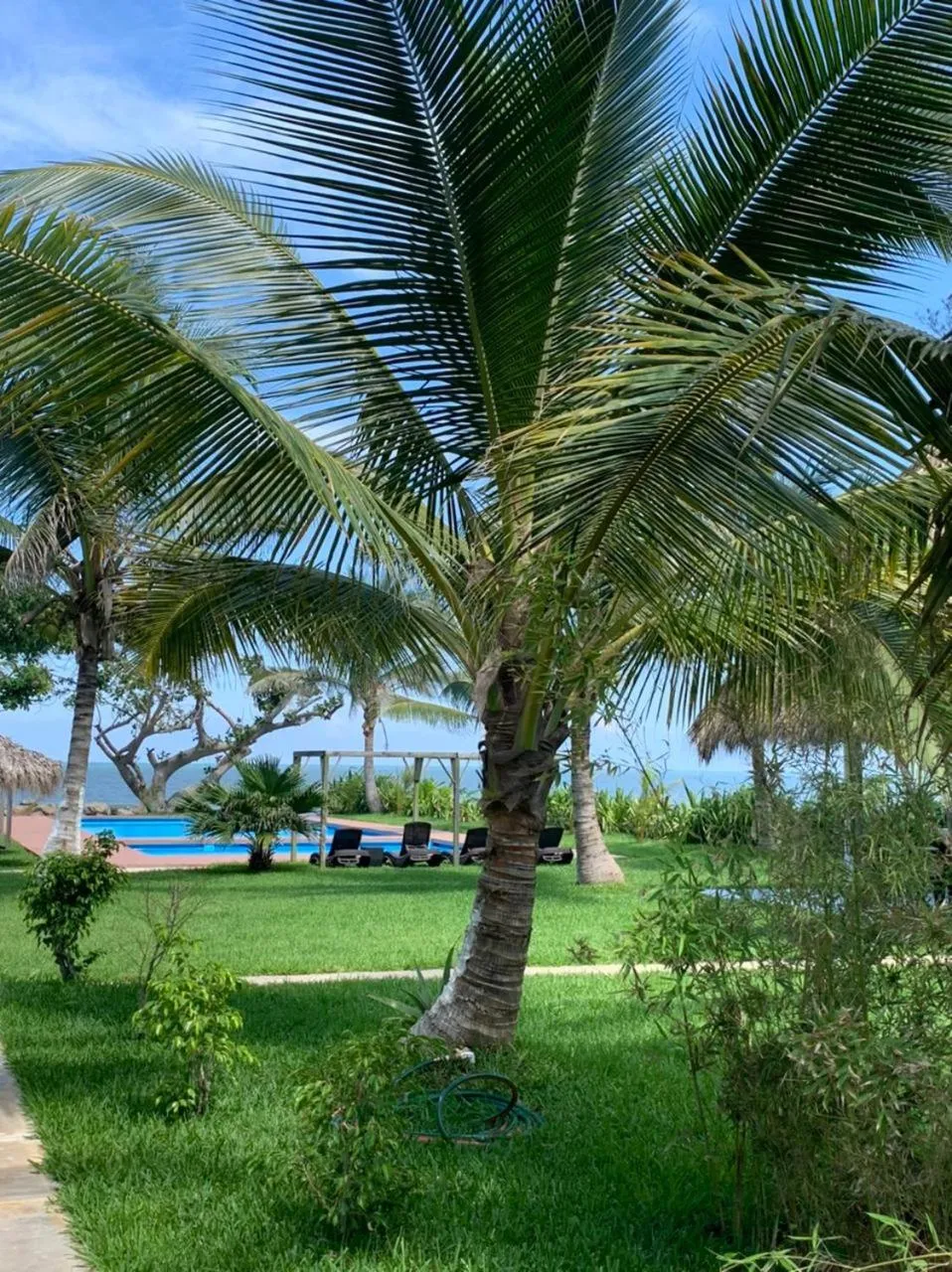 Garden in Mar De Estrellas - Hotel