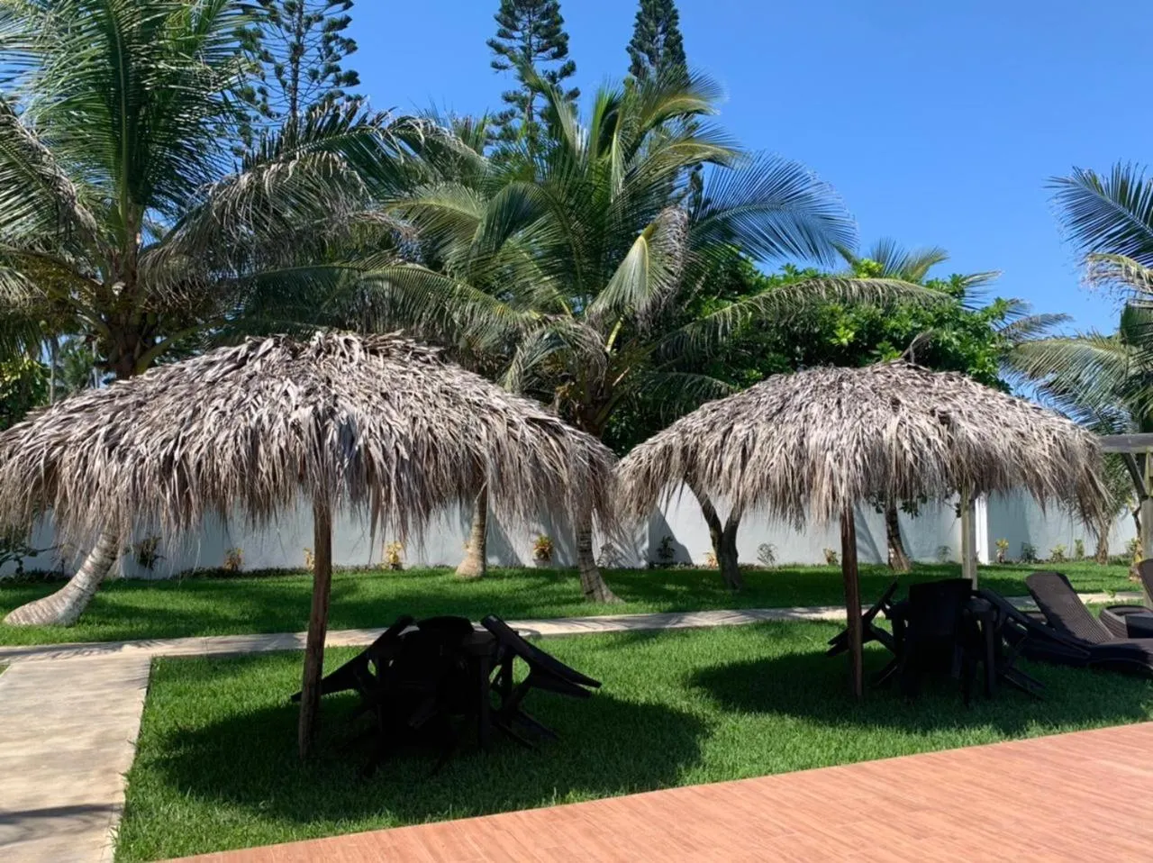 Garden in Mar De Estrellas - Hotel