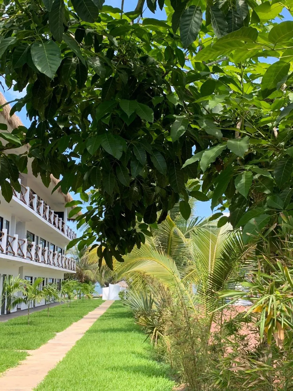 Garden in Mar De Estrellas - Hotel