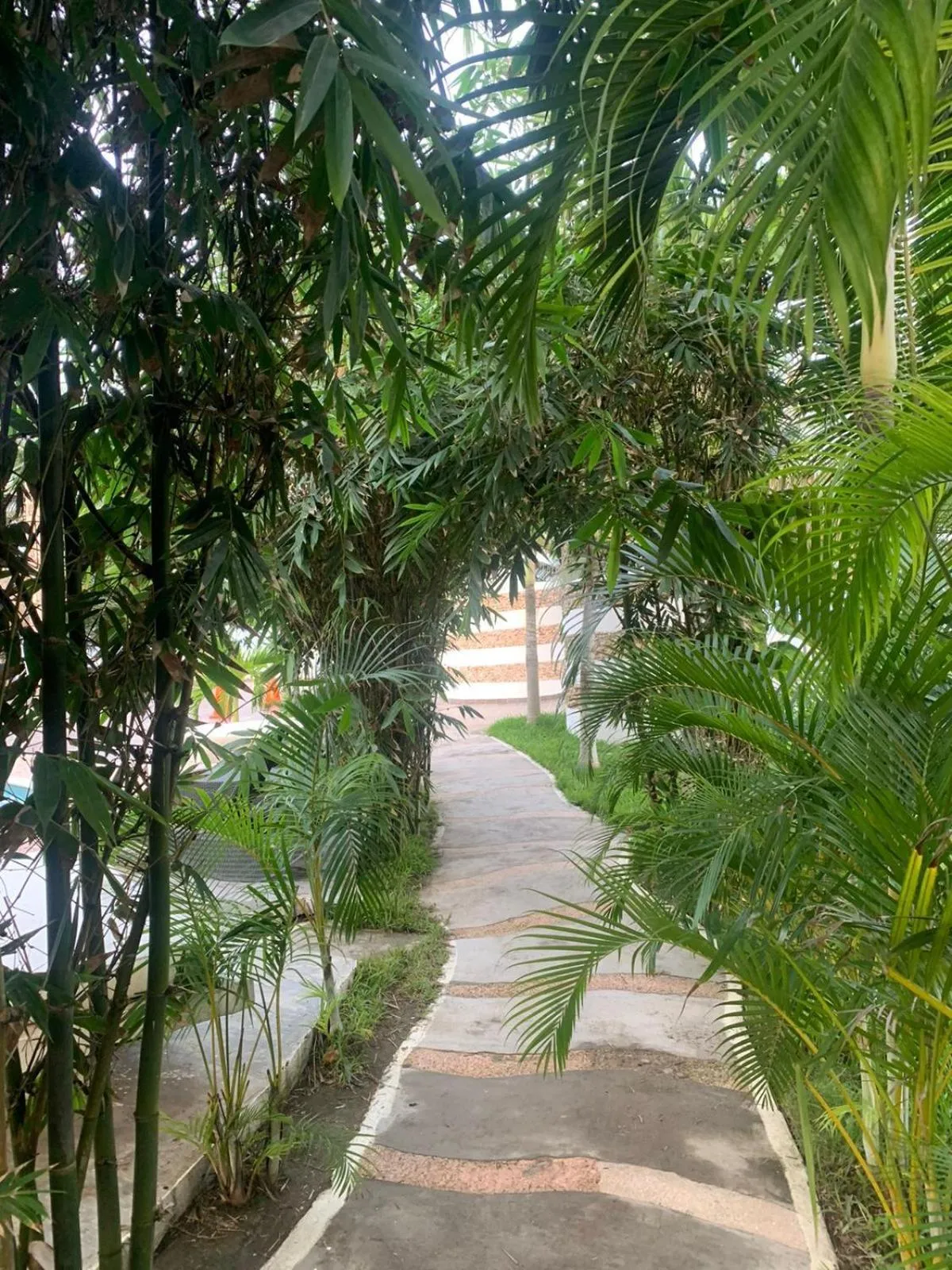 Property building in Mar De Estrellas - Hotel