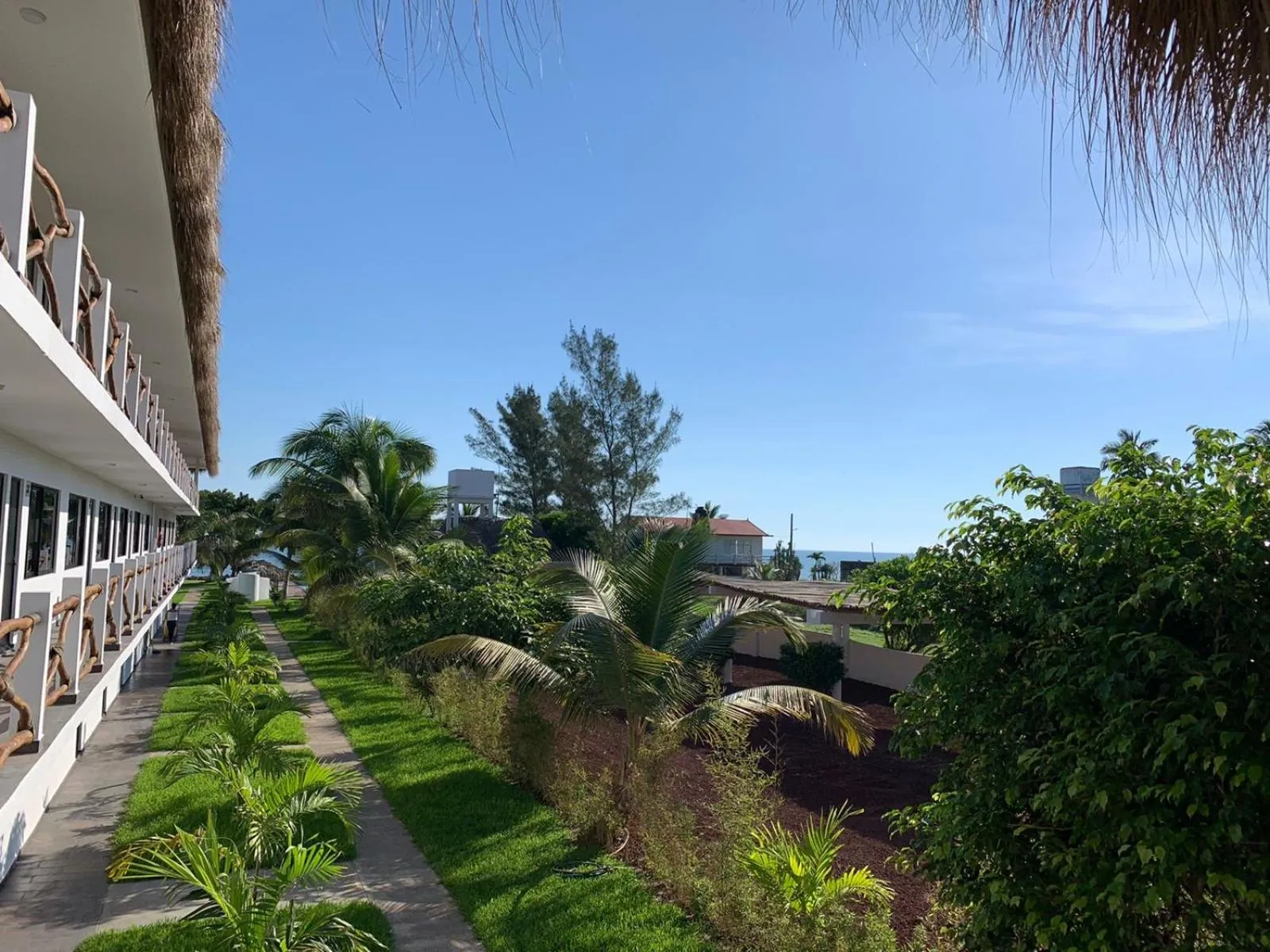Garden view in Mar De Estrellas - Hotel
