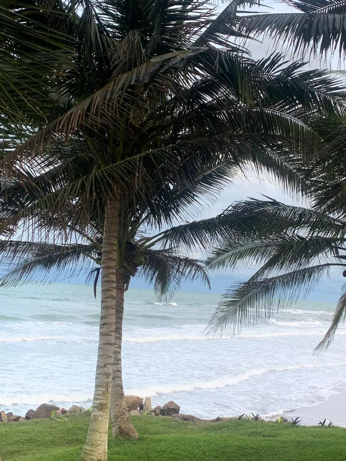Swimming pool in Mar De Estrellas - Hotel