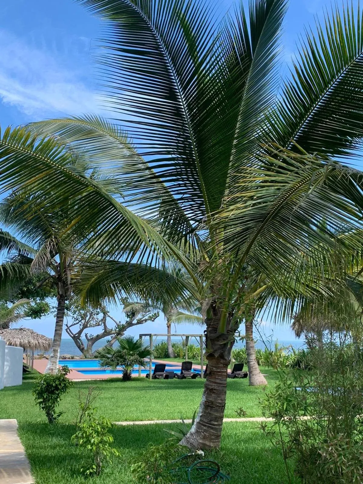 Swimming pool in Mar De Estrellas - Hotel