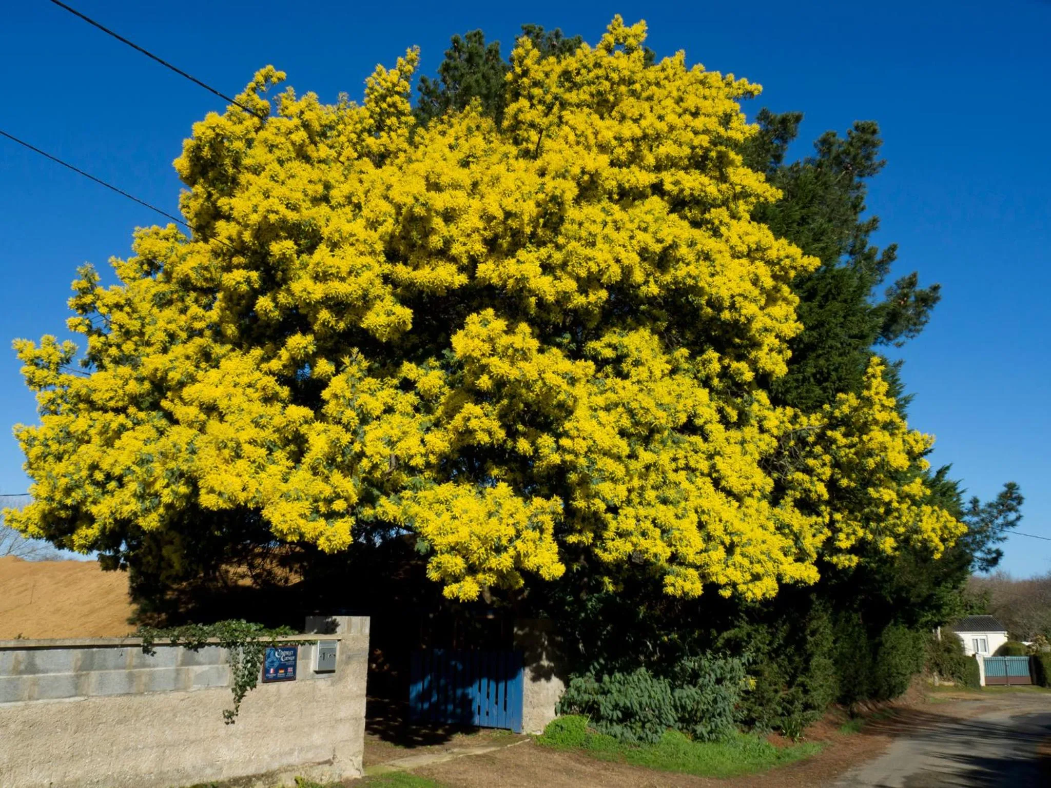 Facade/entrance in Châtelet Camelot