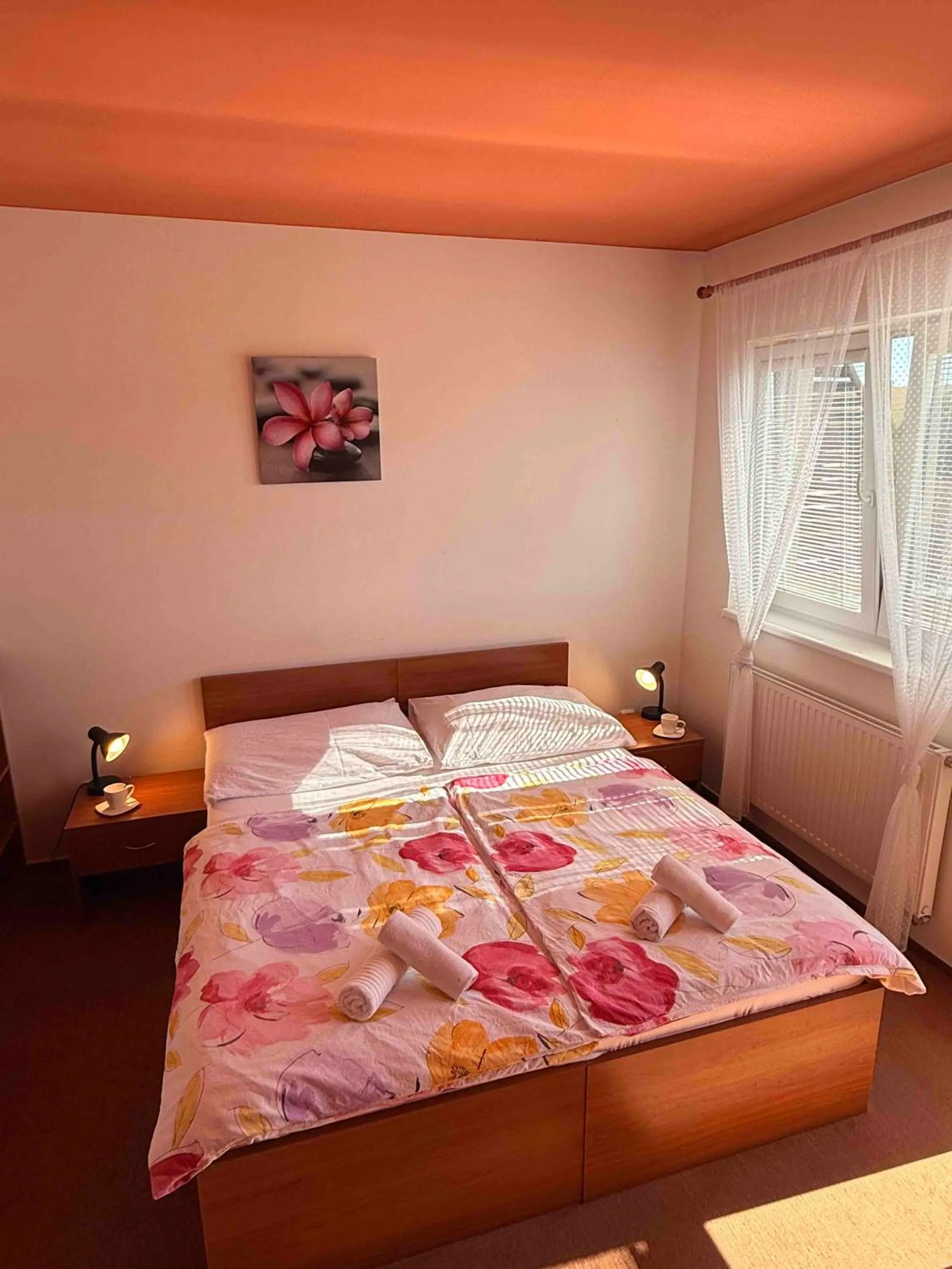 Bed in Apartmány, Penzion, Wellness U zlaté rybky