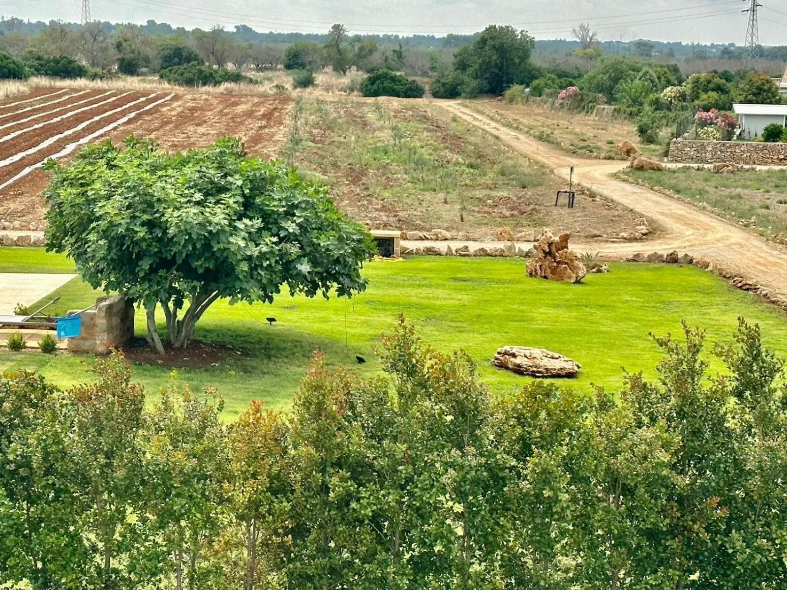 Garden in Borgo Rosso Terra
