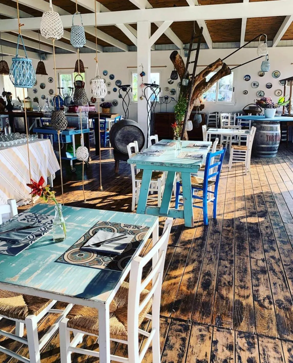 Restaurant/places to eat in Borgo Rosso Terra