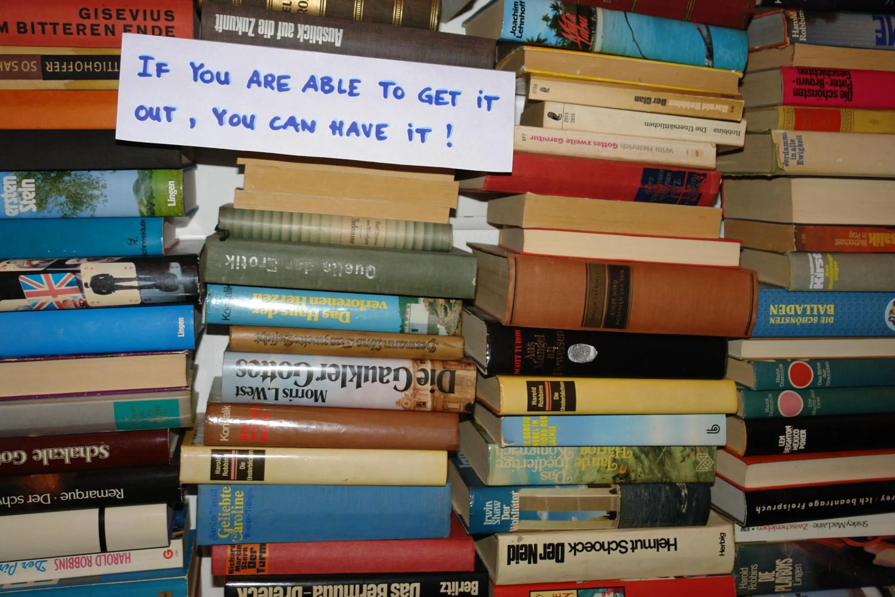 Lounge or bar in Lotte - The Backpackers