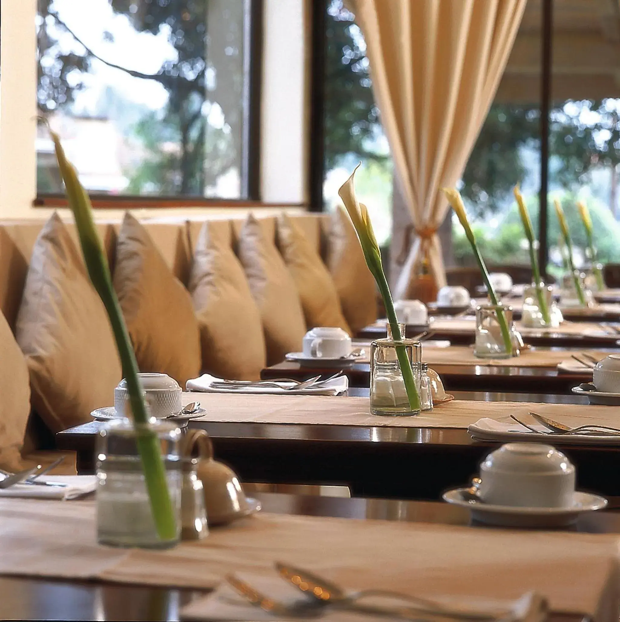 Restaurant/places to eat in Palacina The Residence & The Suites Restaurant/places to eat in Palacina The Residence & The Suites