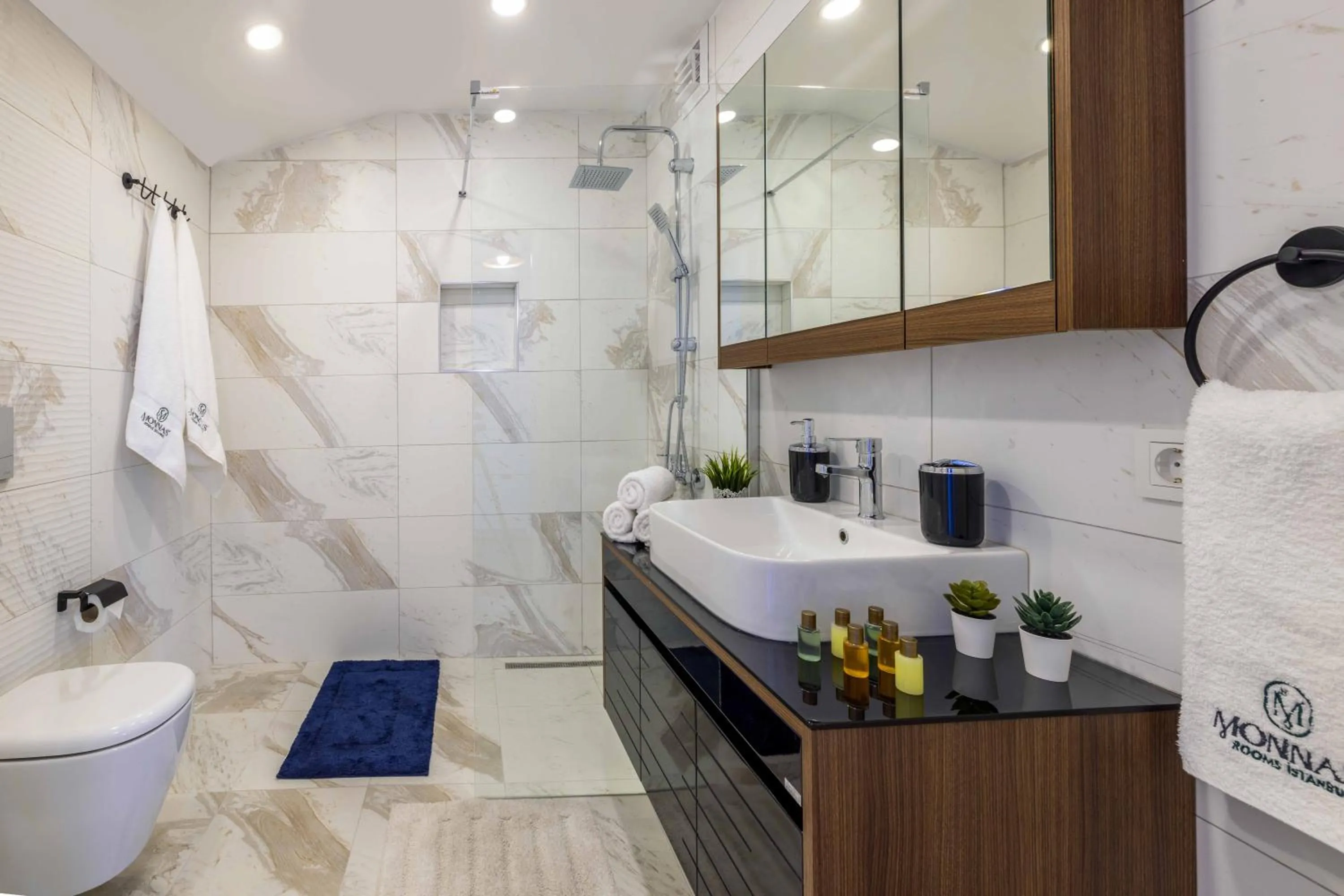 Shower in Monnas Suite