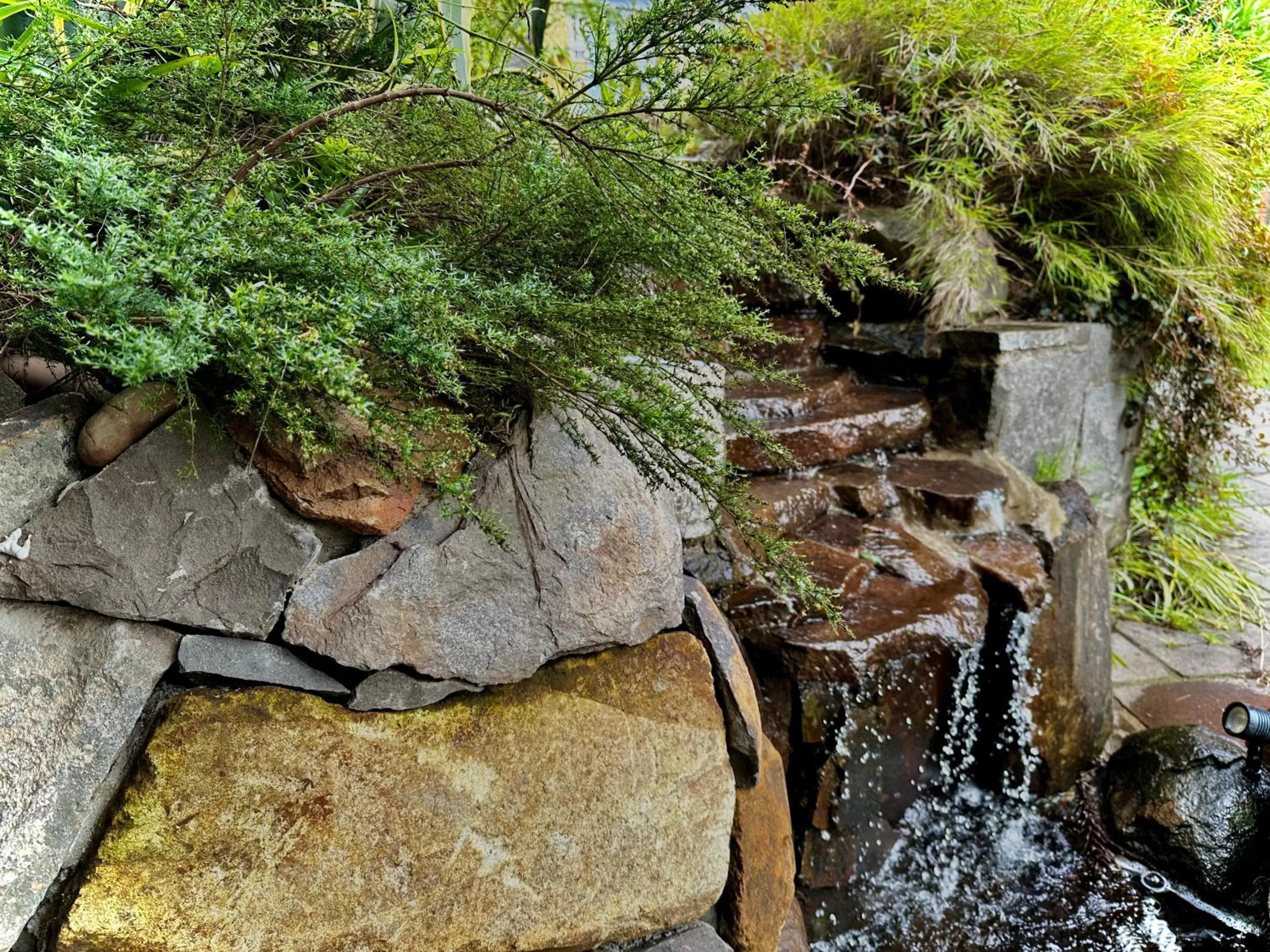 Garden in Natur Hotel - 700m da Rua Coberta