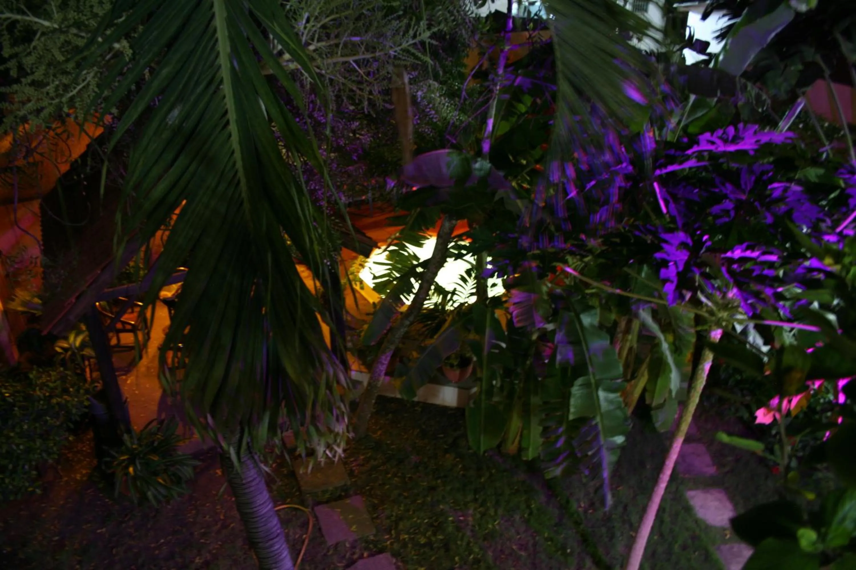Garden in Hotel Aurore Lomé