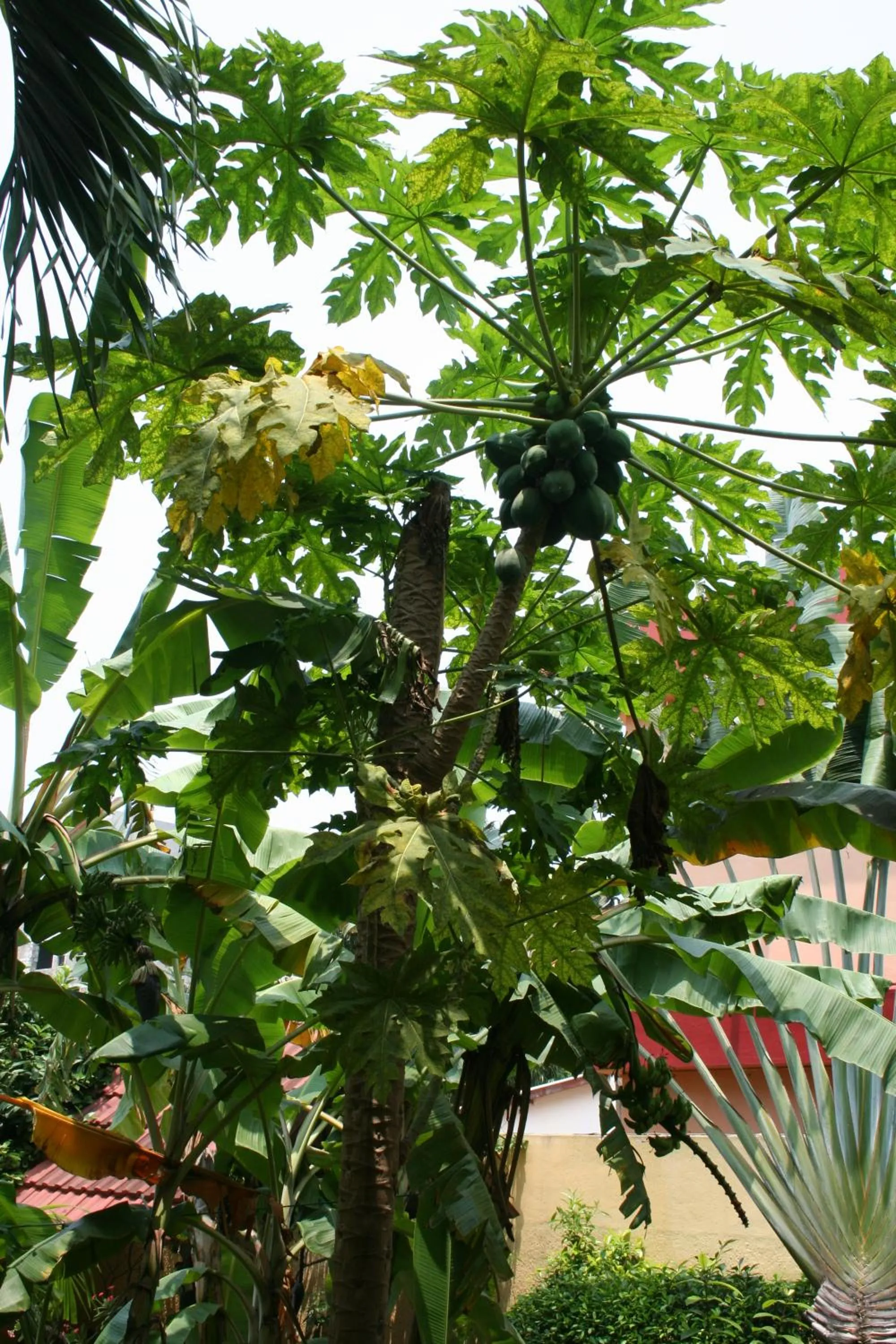 Property building in Hotel Aurore Lomé