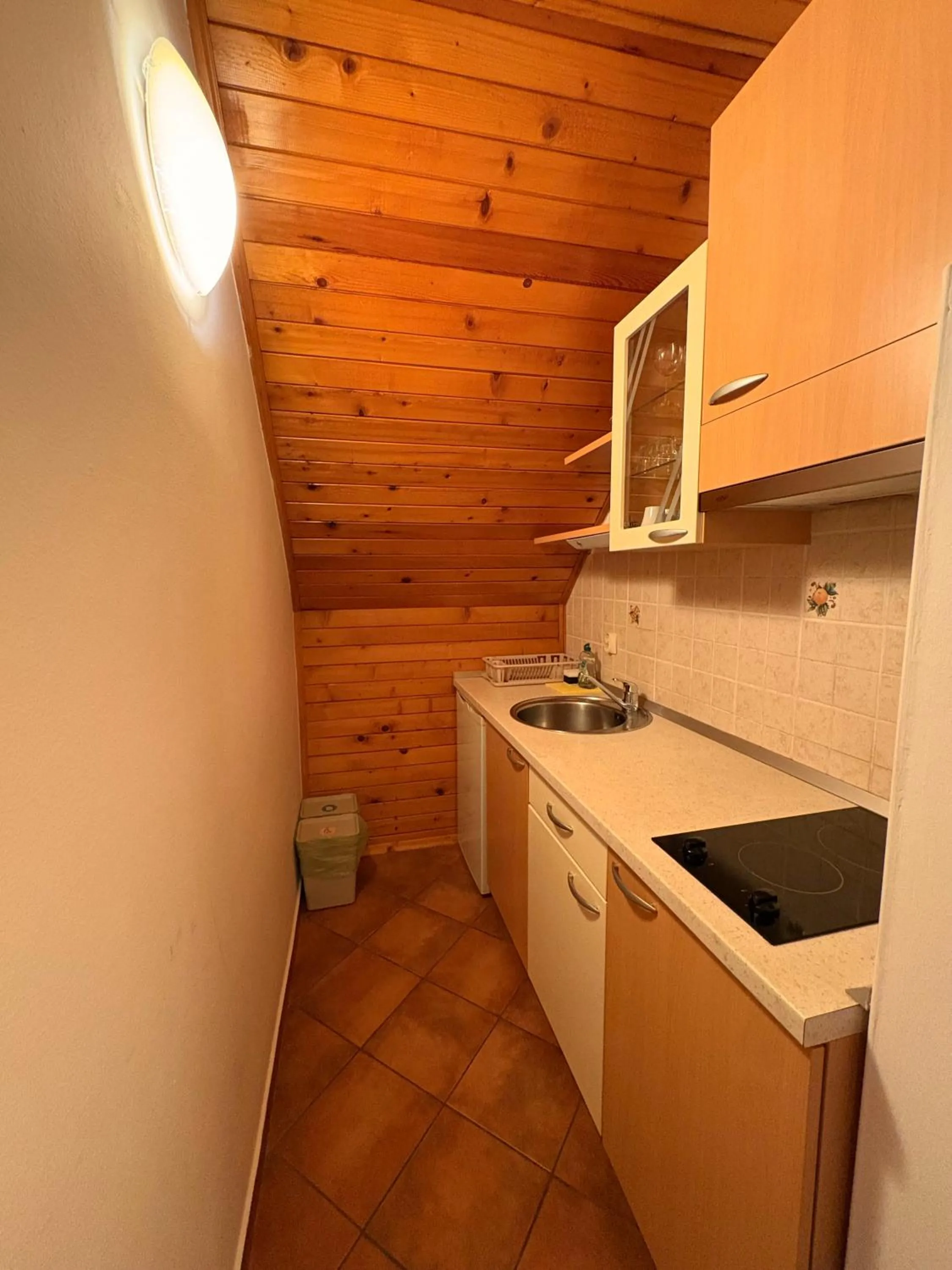 Kitchen or kitchenette in Guesthouse Les