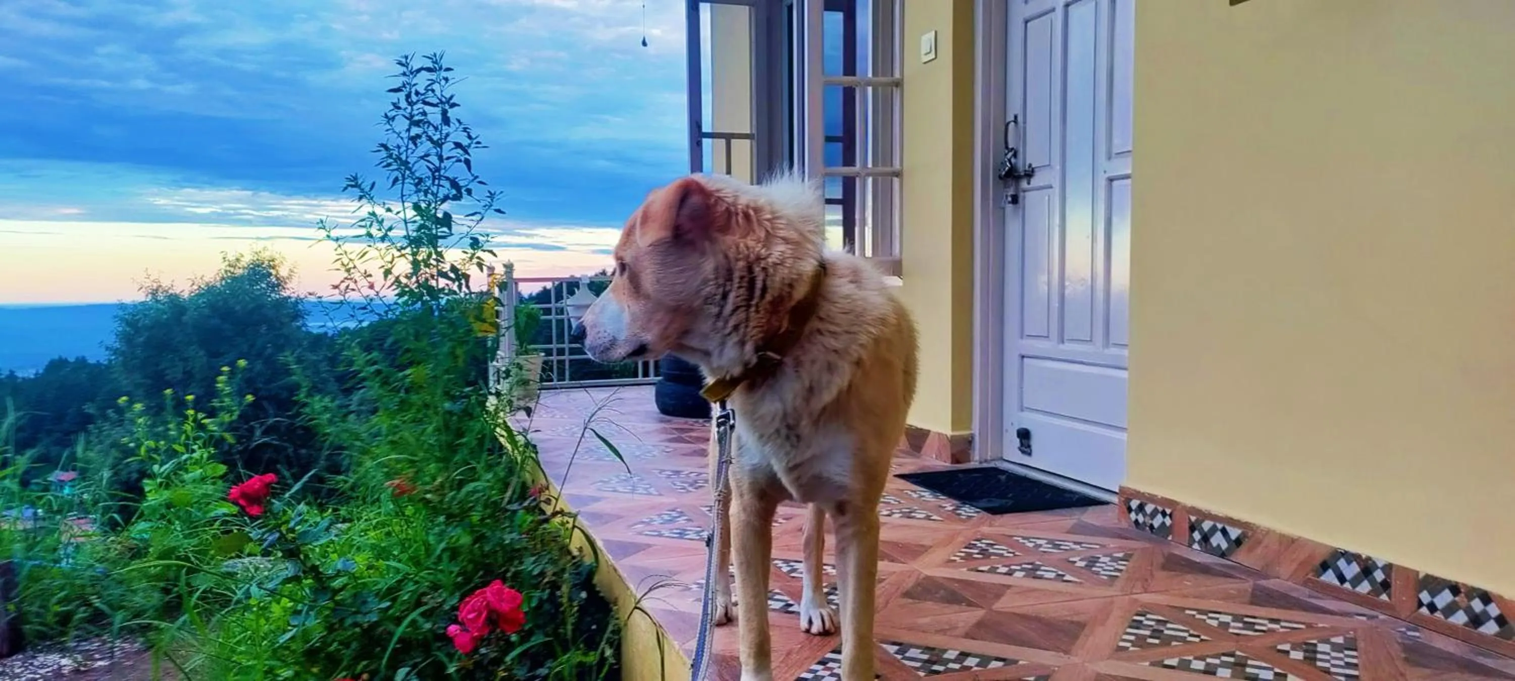 Natural landscape in The Unmad - Dharamkot