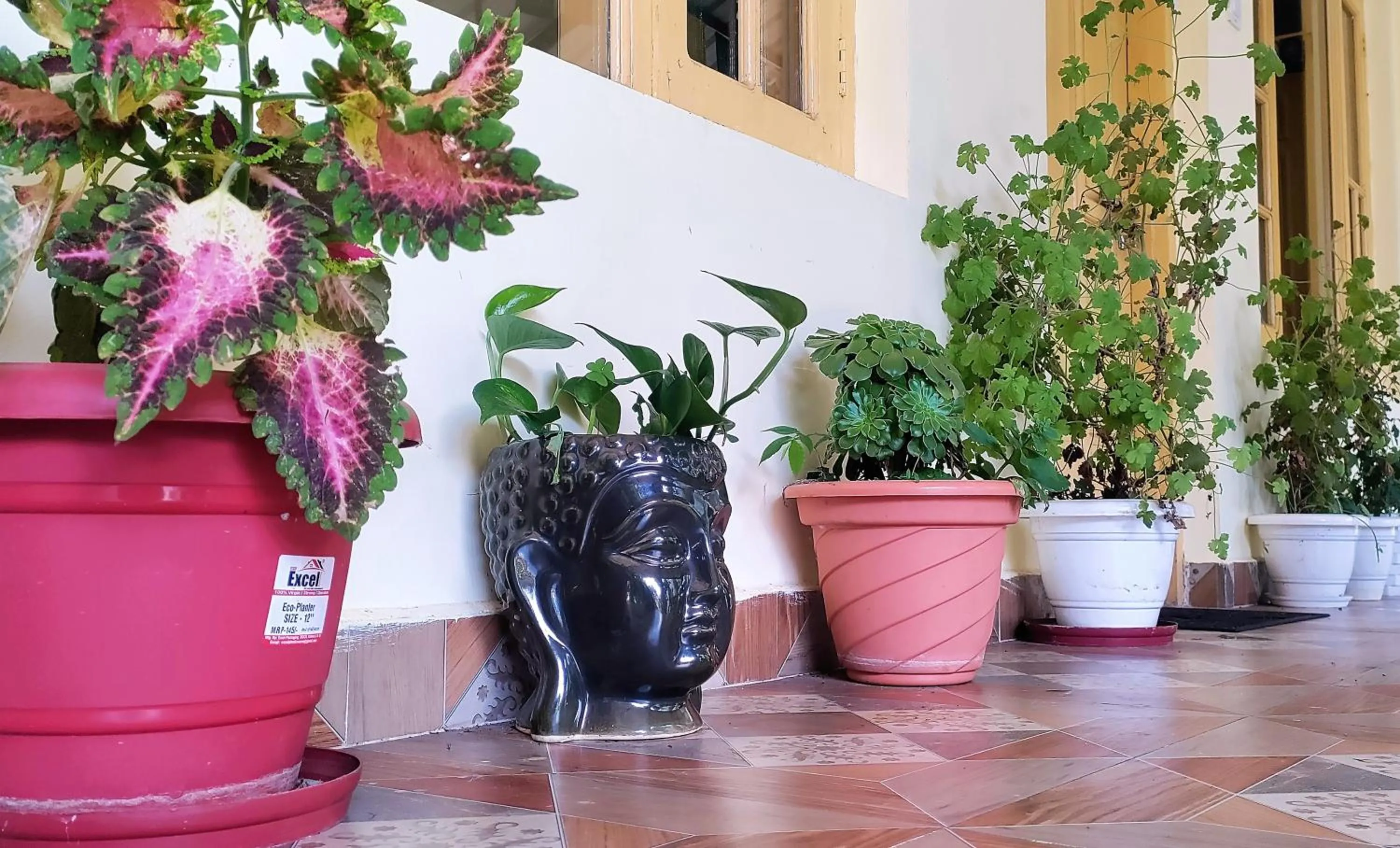 Facade/entrance in The Unmad - Dharamkot