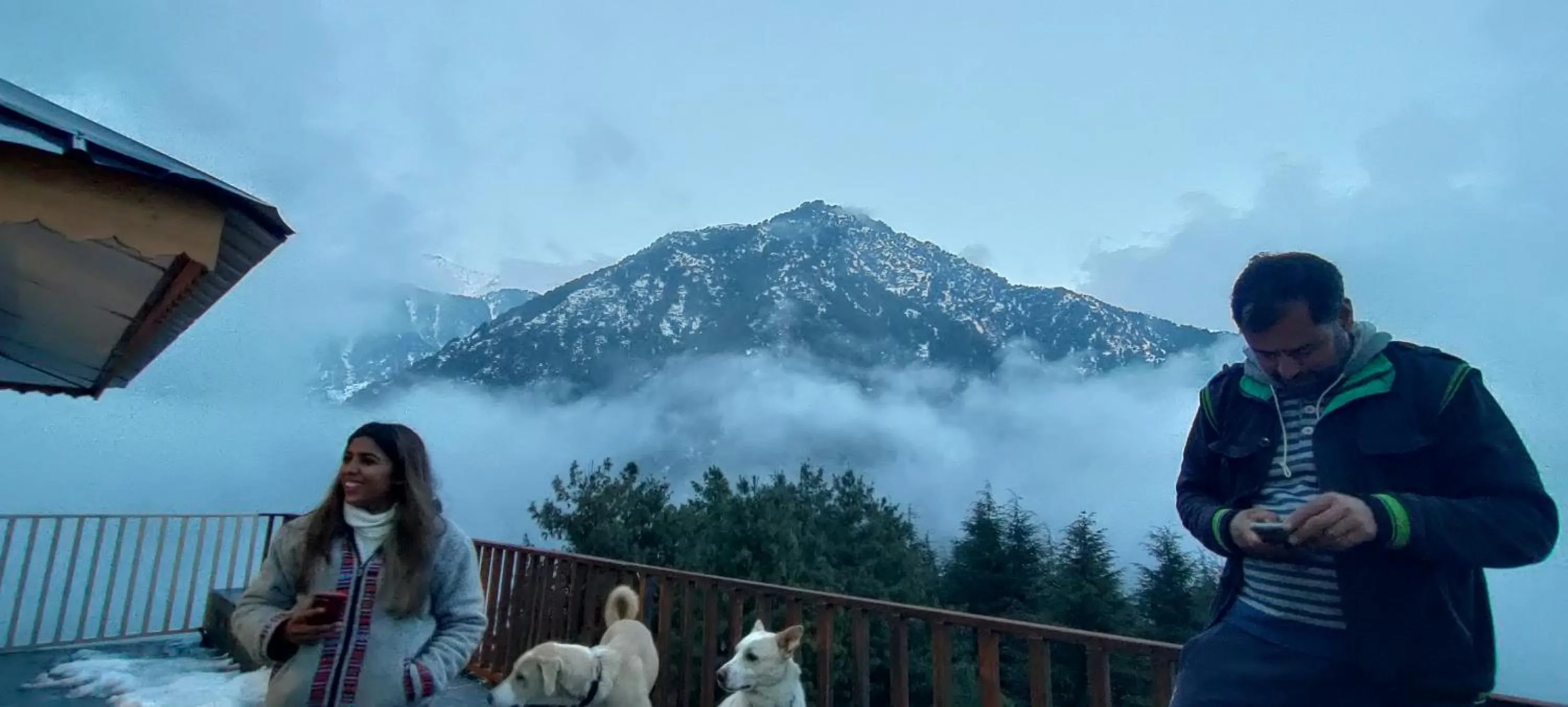 View (from property/room) in The Unmad - Dharamkot