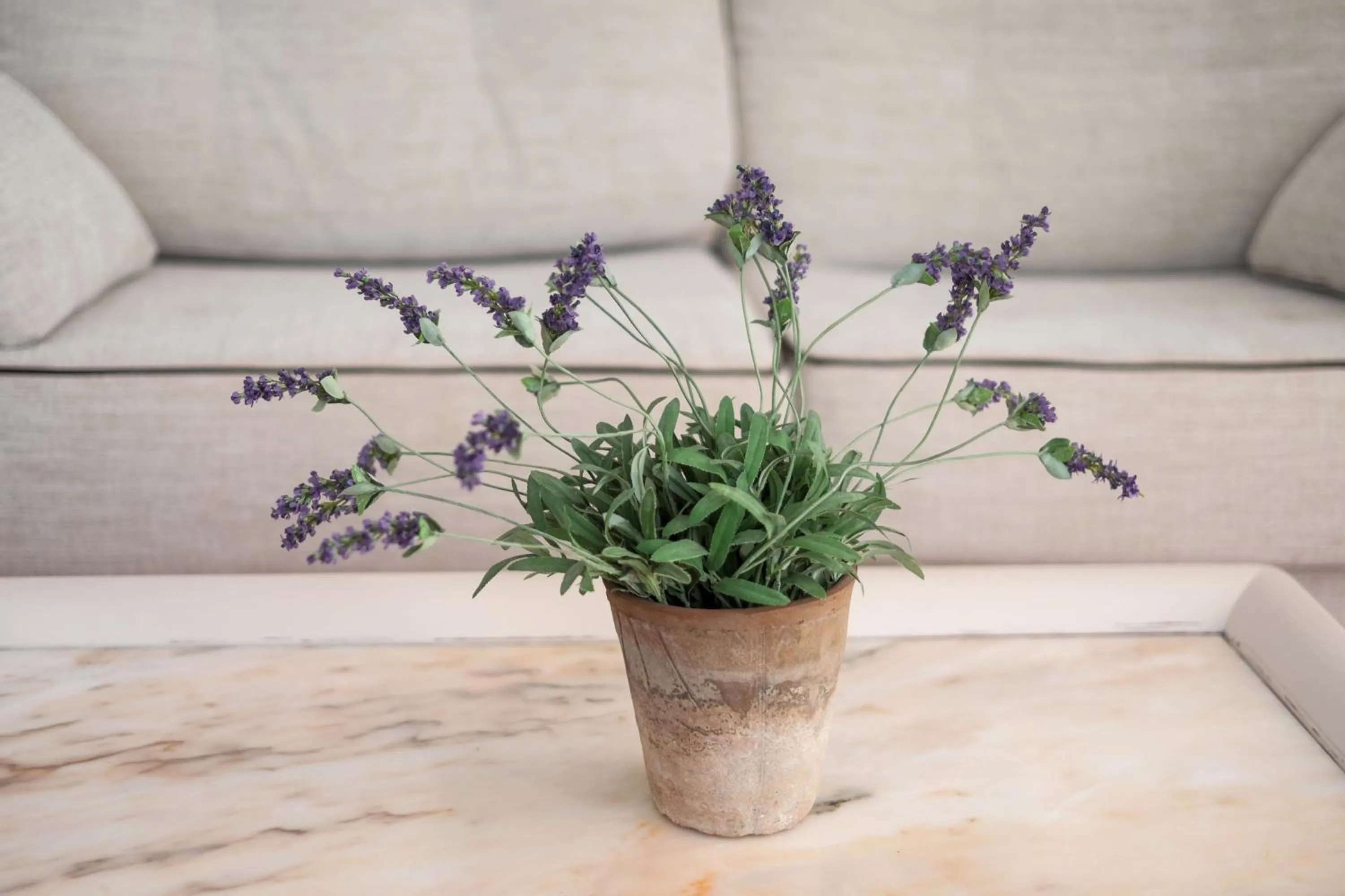 Decorative detail in Agroturismo Son Juaneda