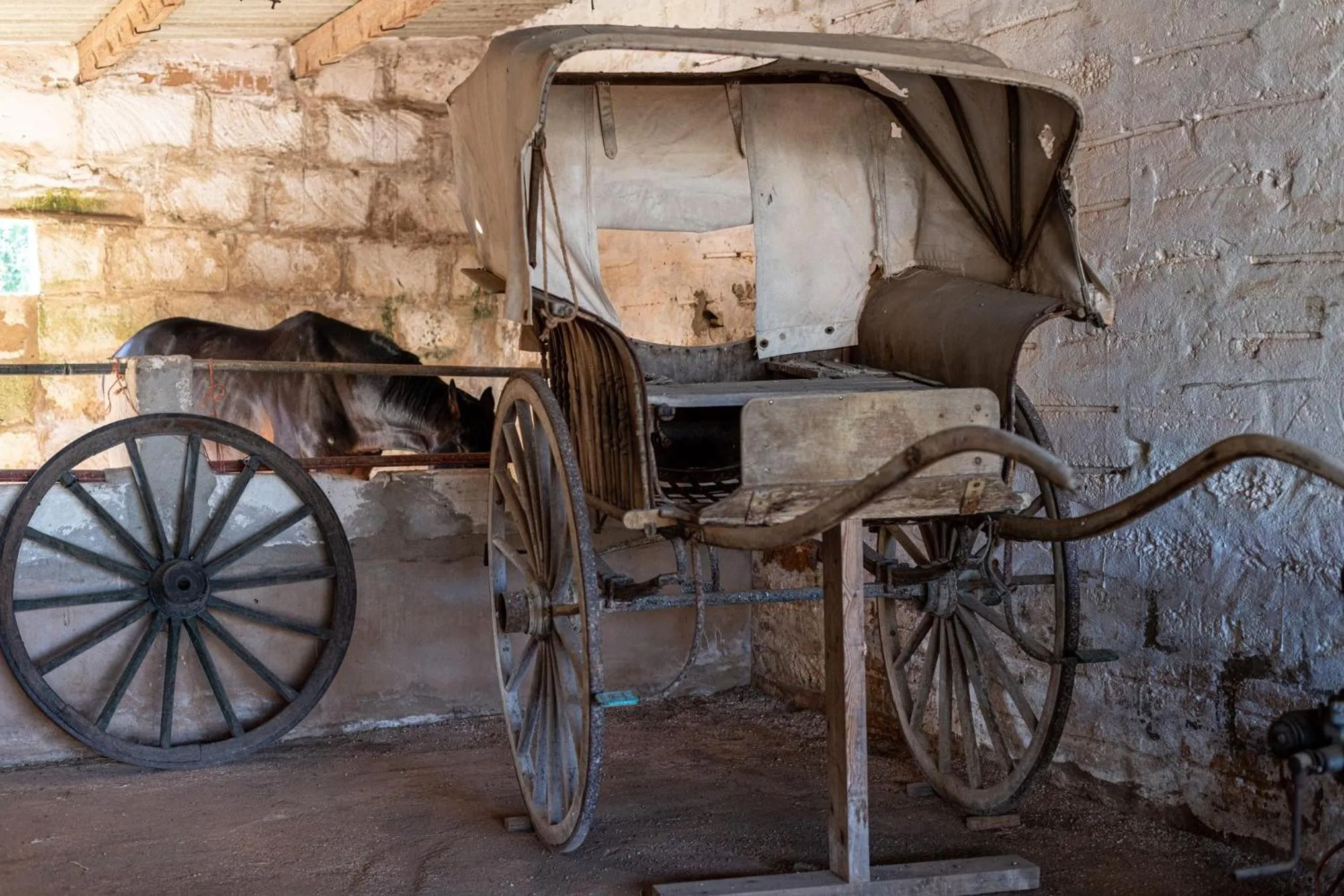 Animals in Agroturismo Son Juaneda