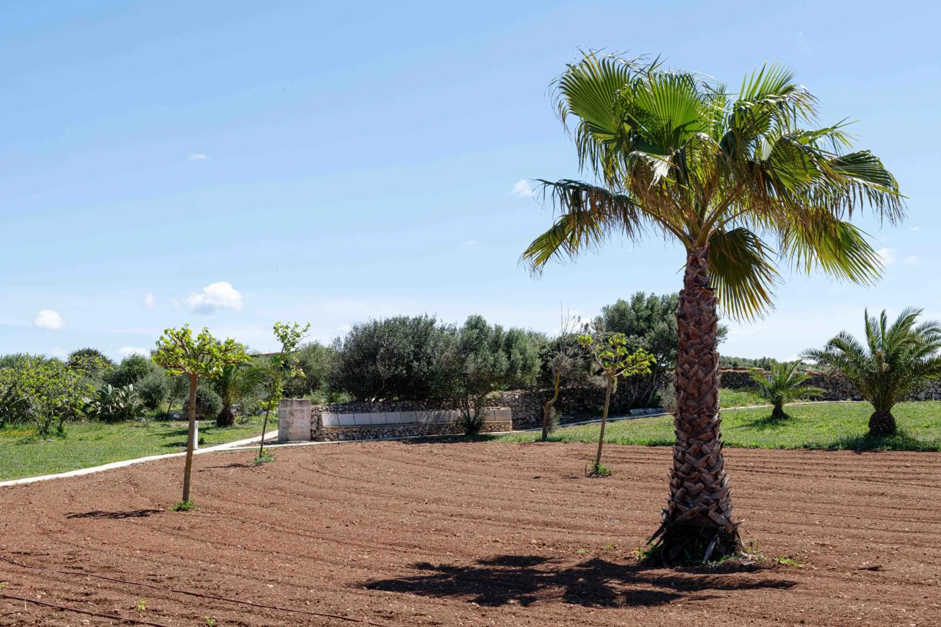 Garden view in Agroturismo Son Juaneda