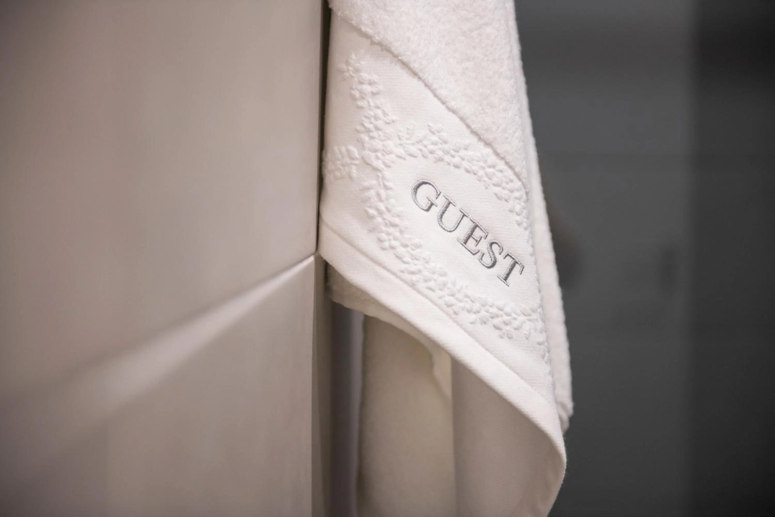 Decorative detail in BYPILLOW Velázquez 45