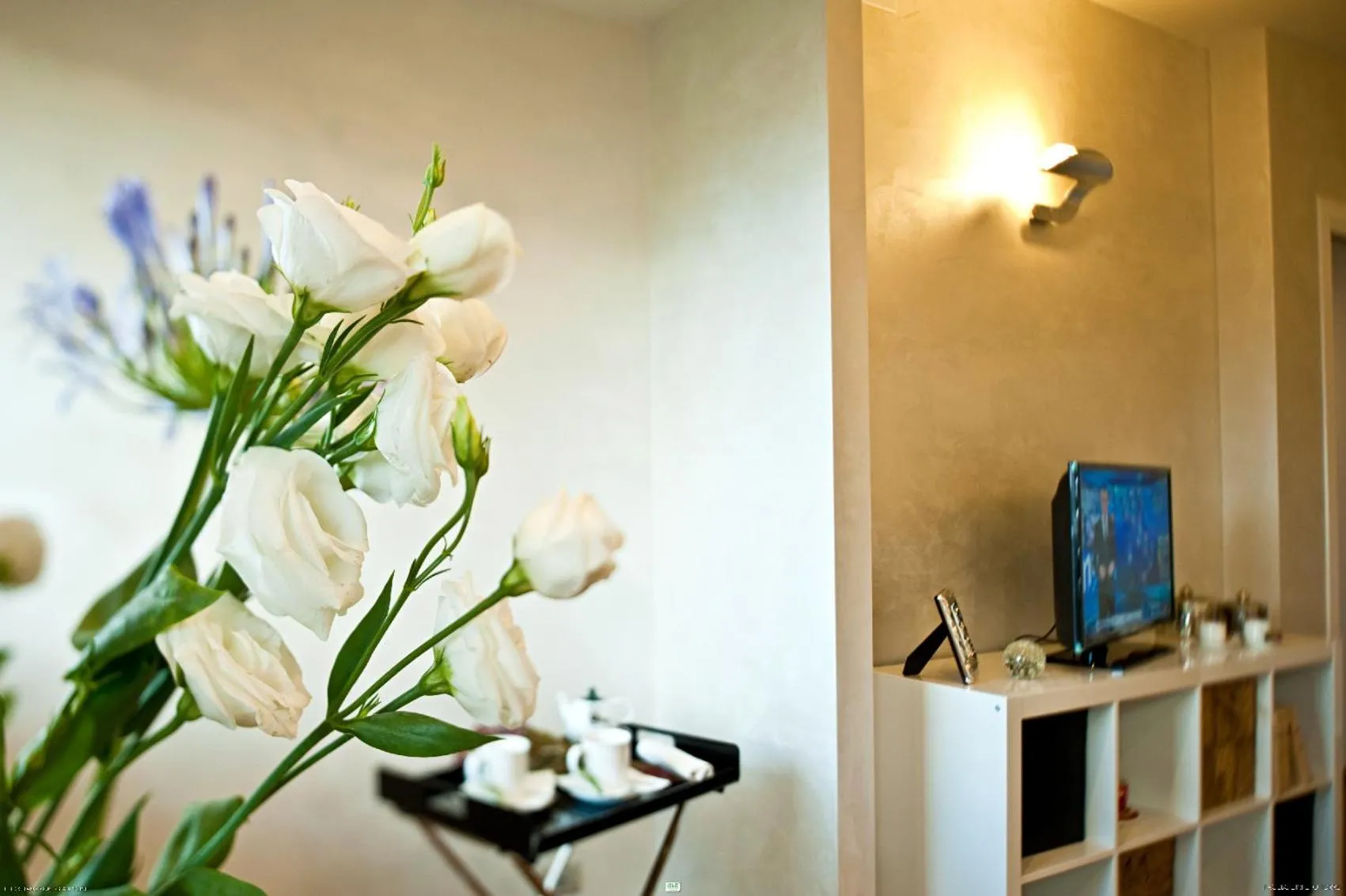 TV and multimedia in Hotel Ferro di Cavallo