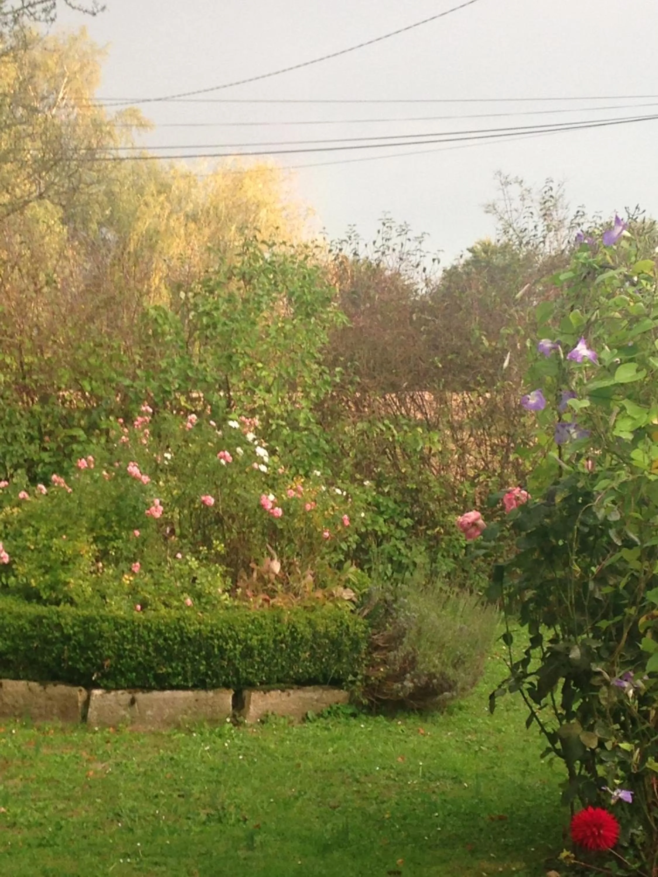 Garden in Marguerite's Ferme rustique