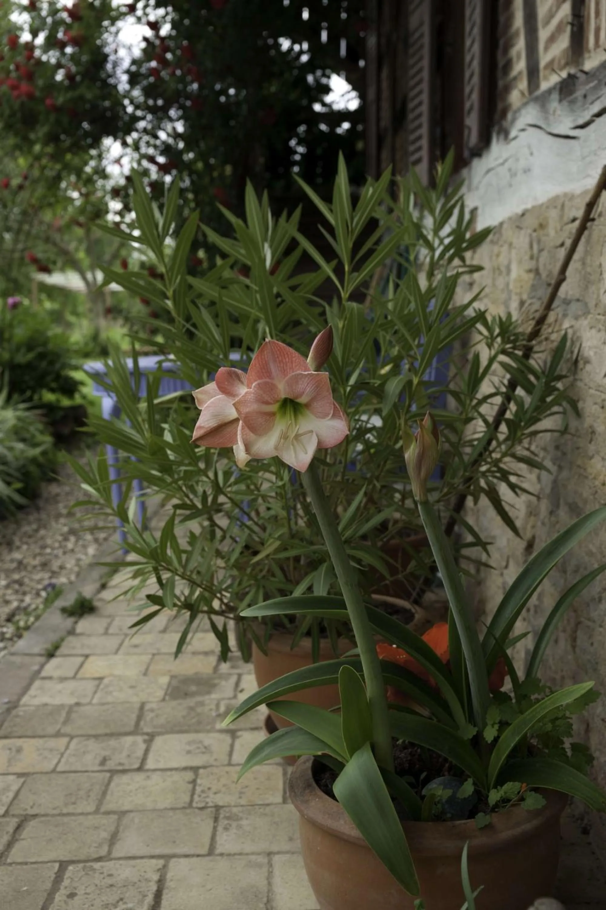 Patio in Marguerite's Ferme rustique
