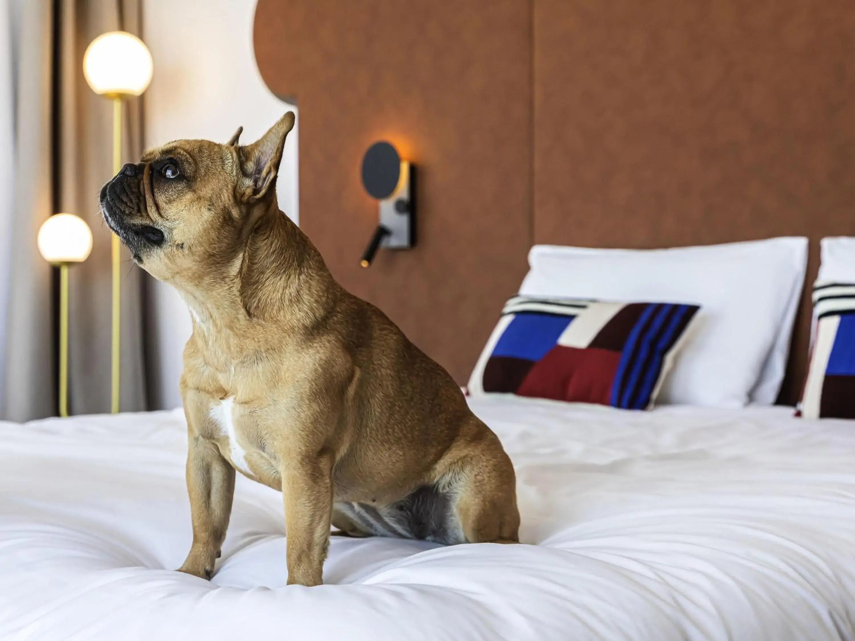 Other, Bed in Mercure Dunkerque Centre Gare Other, Bed in Mercure Dunkerque Centre Gare