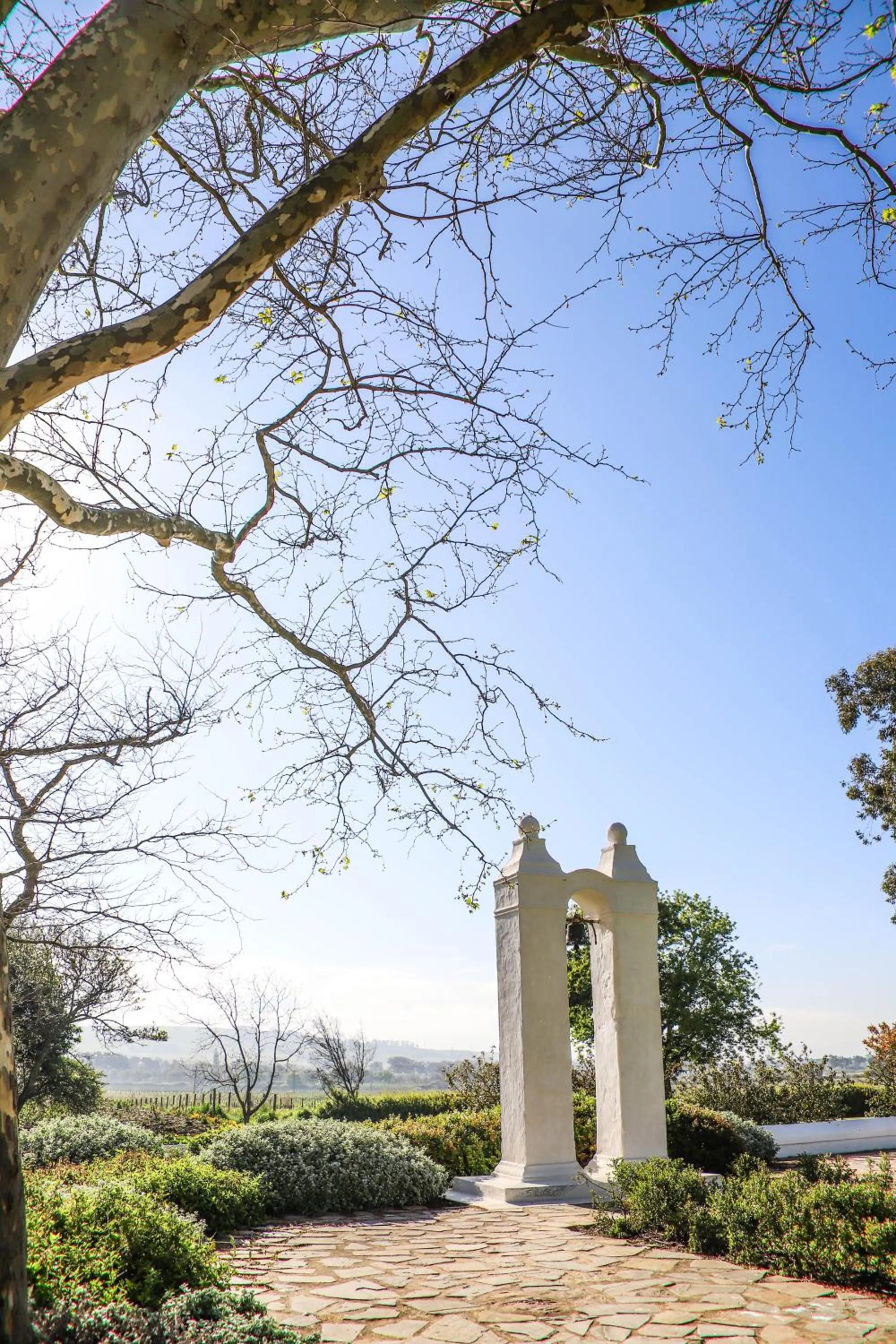Garden in Vergenoegd Löw Boutique Hotel & Spa