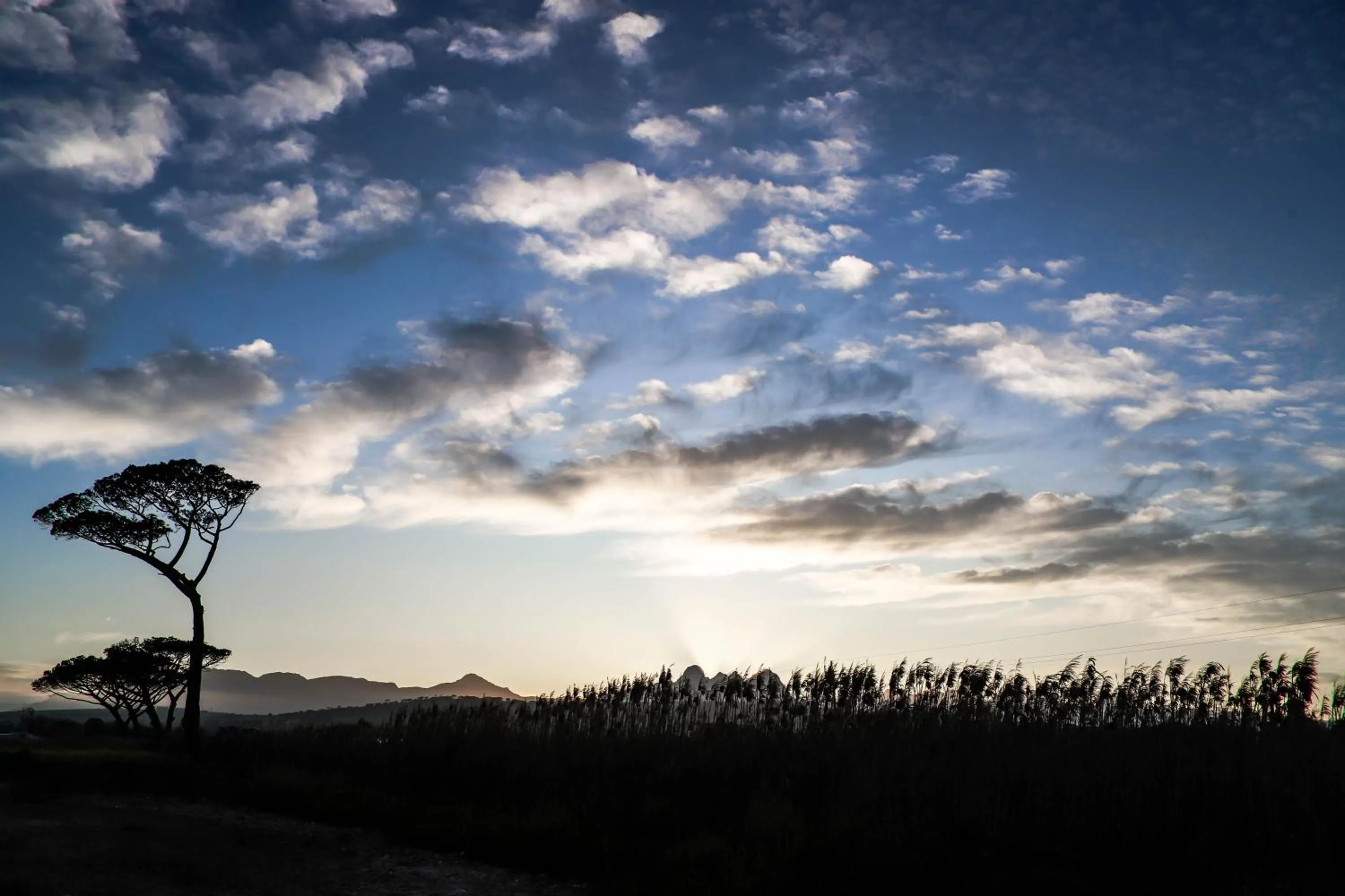 View (from property/room) in Vergenoegd Löw Boutique Hotel & Spa