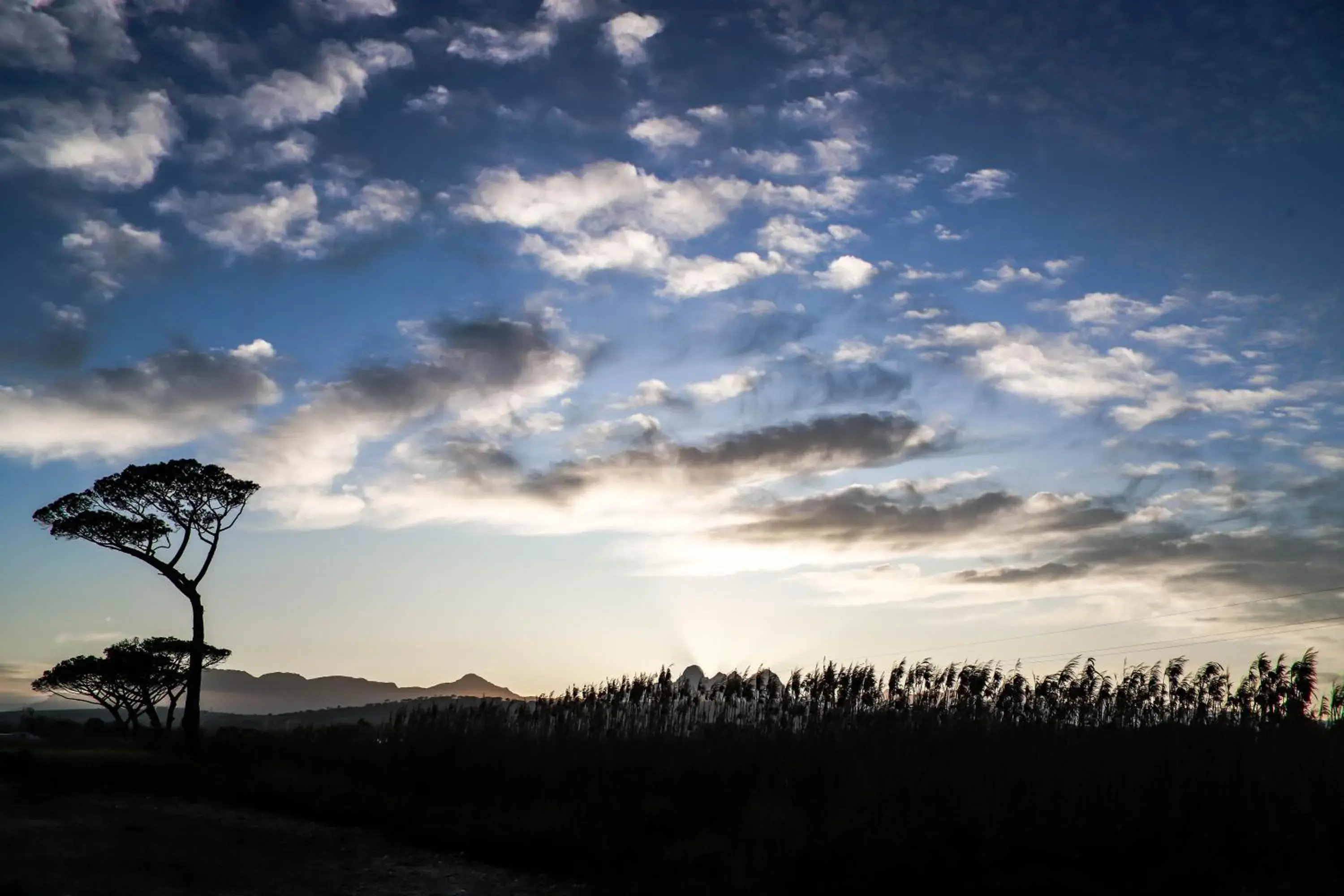 View (from property/room) in Vergenoegd Löw Boutique Hotel & Spa View (from property/room) in Vergenoegd Löw Boutique Hotel & Spa