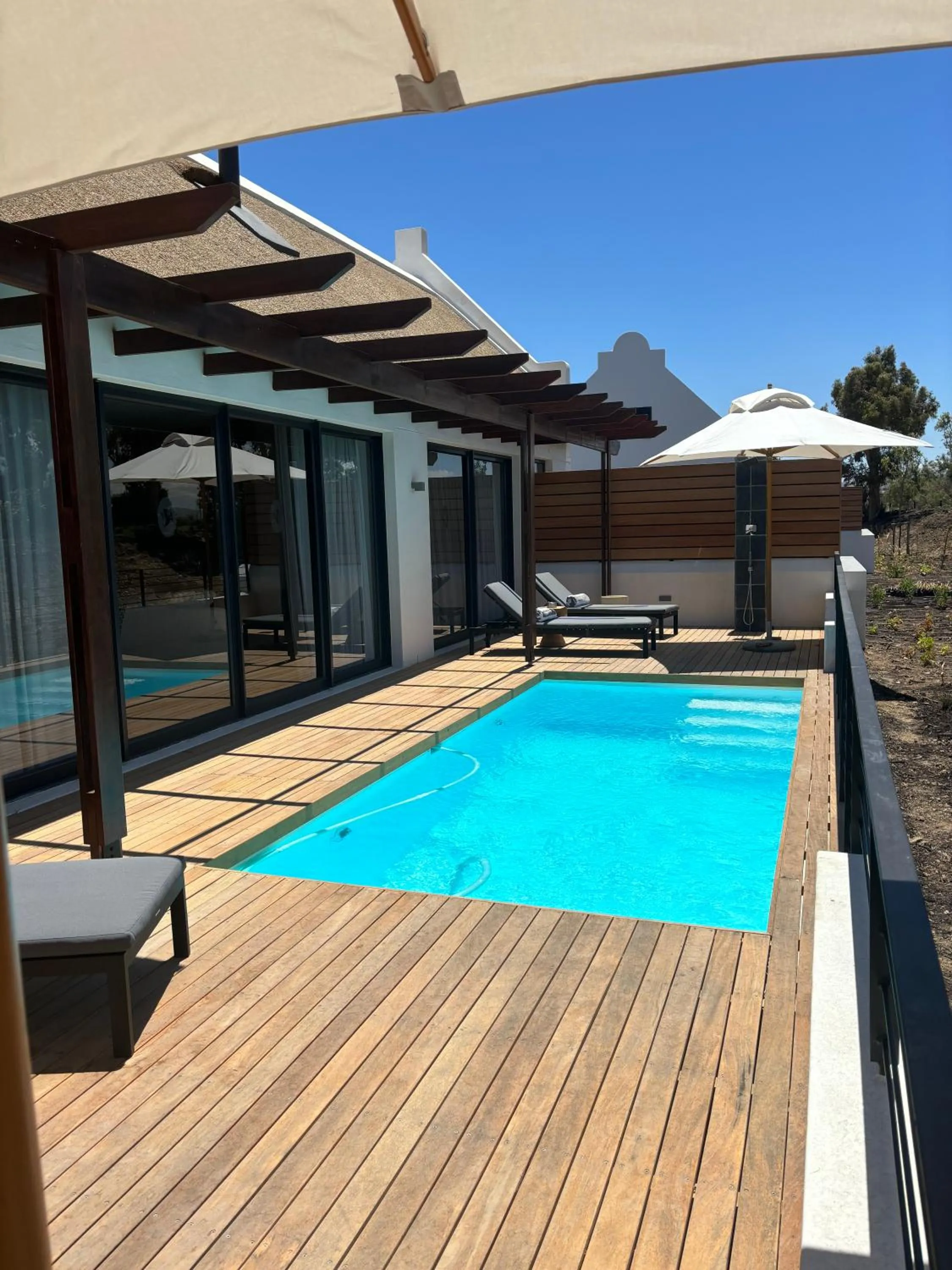 Swimming pool in Vergenoegd Löw Boutique Hotel & Spa
