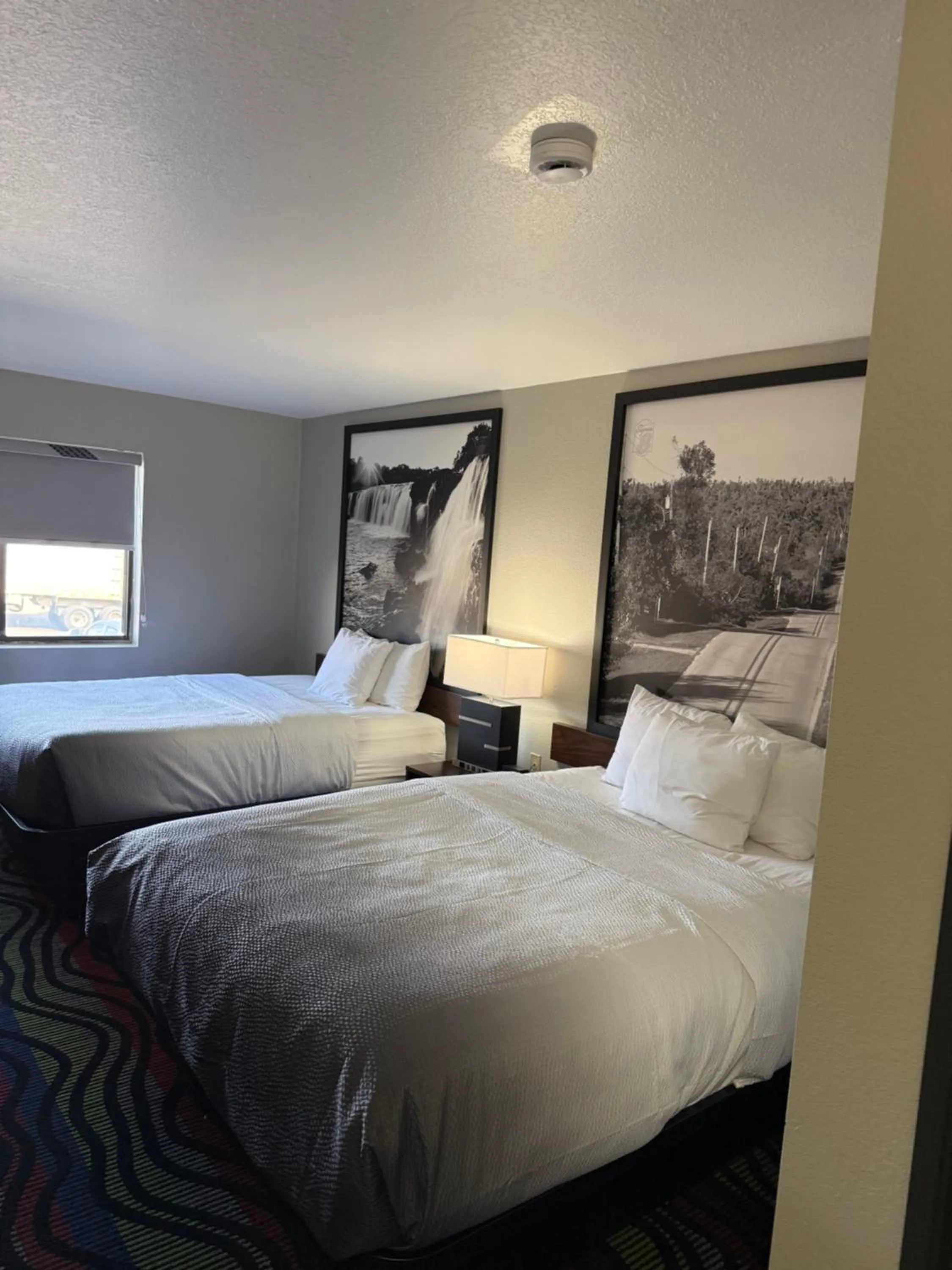 Bedroom, Bed in Super 8 by Wyndham Farmington