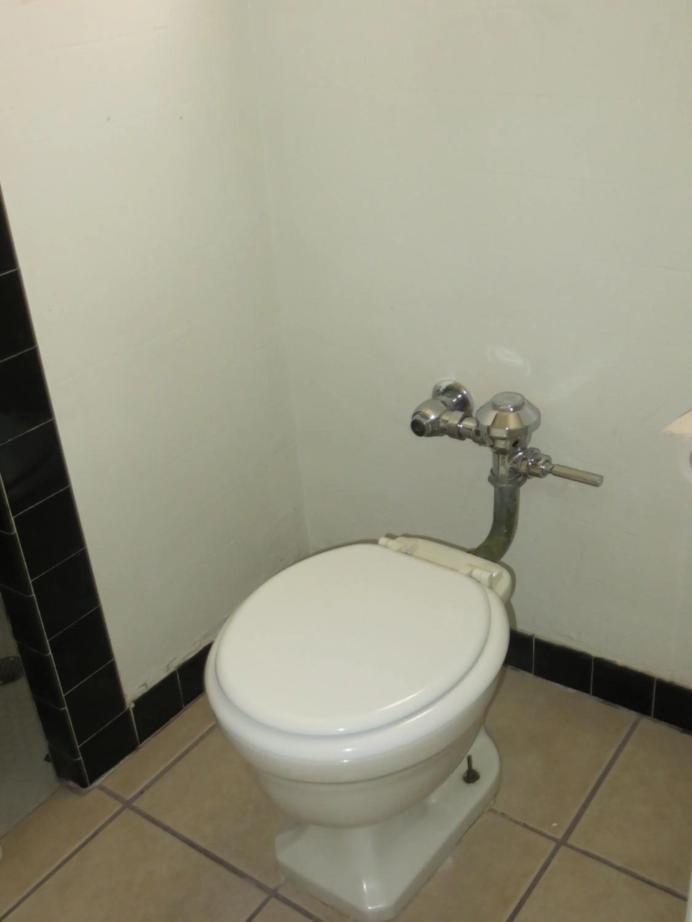 Toilet in El Trovatore Motel