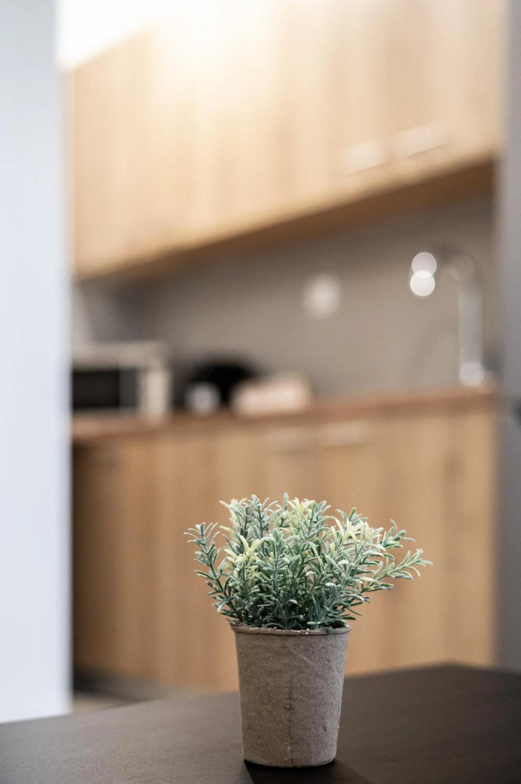 Kitchen or kitchenette in Blue Riviera villas & suites - Alimos 2