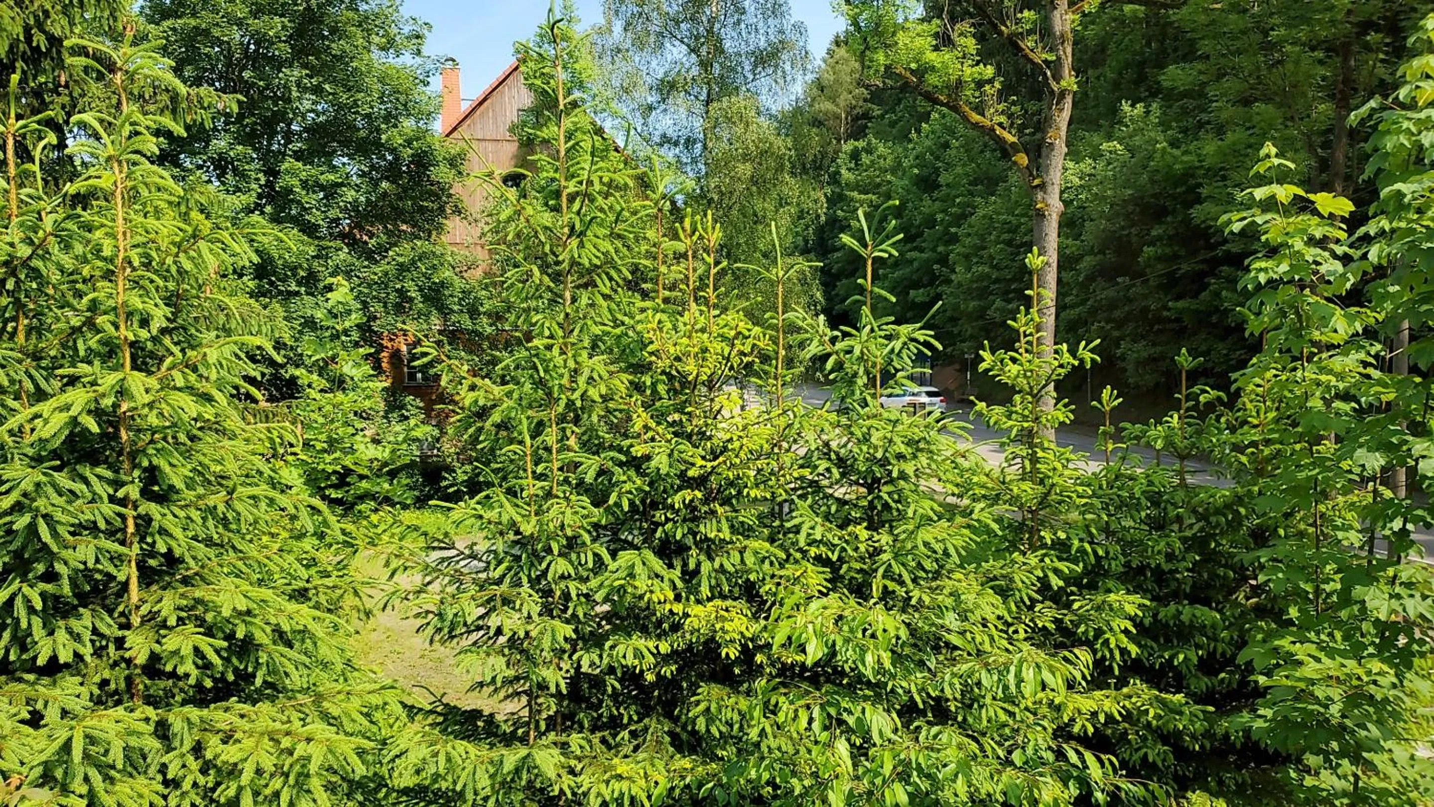 Garden in Hotel Bielatal