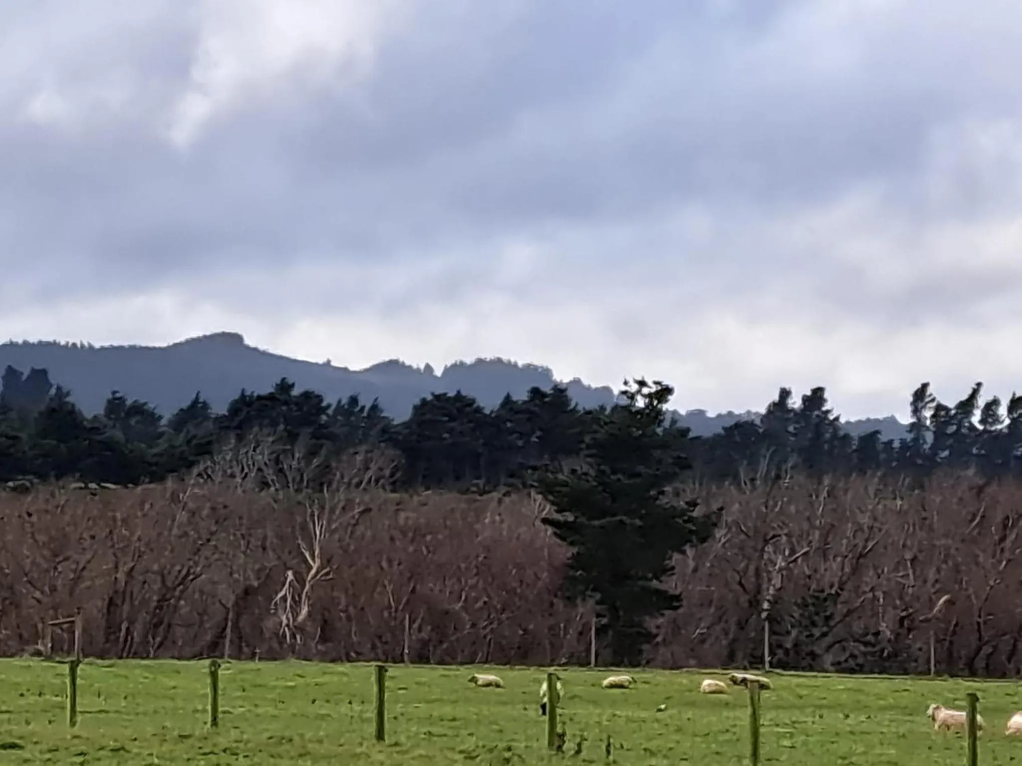 Natural landscape in Gunyah Country Estate