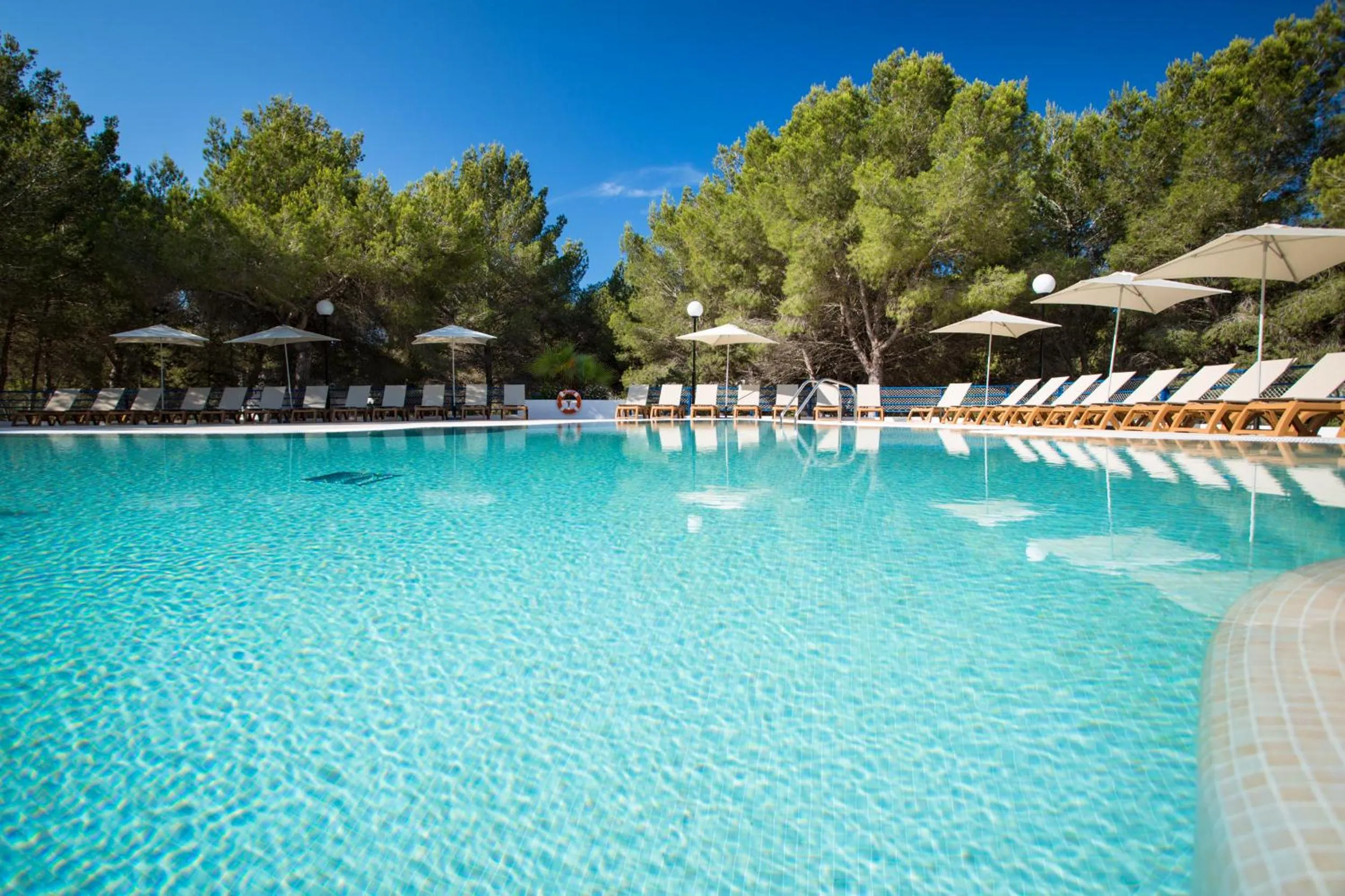 Swimming pool in Insotel Club Maryland