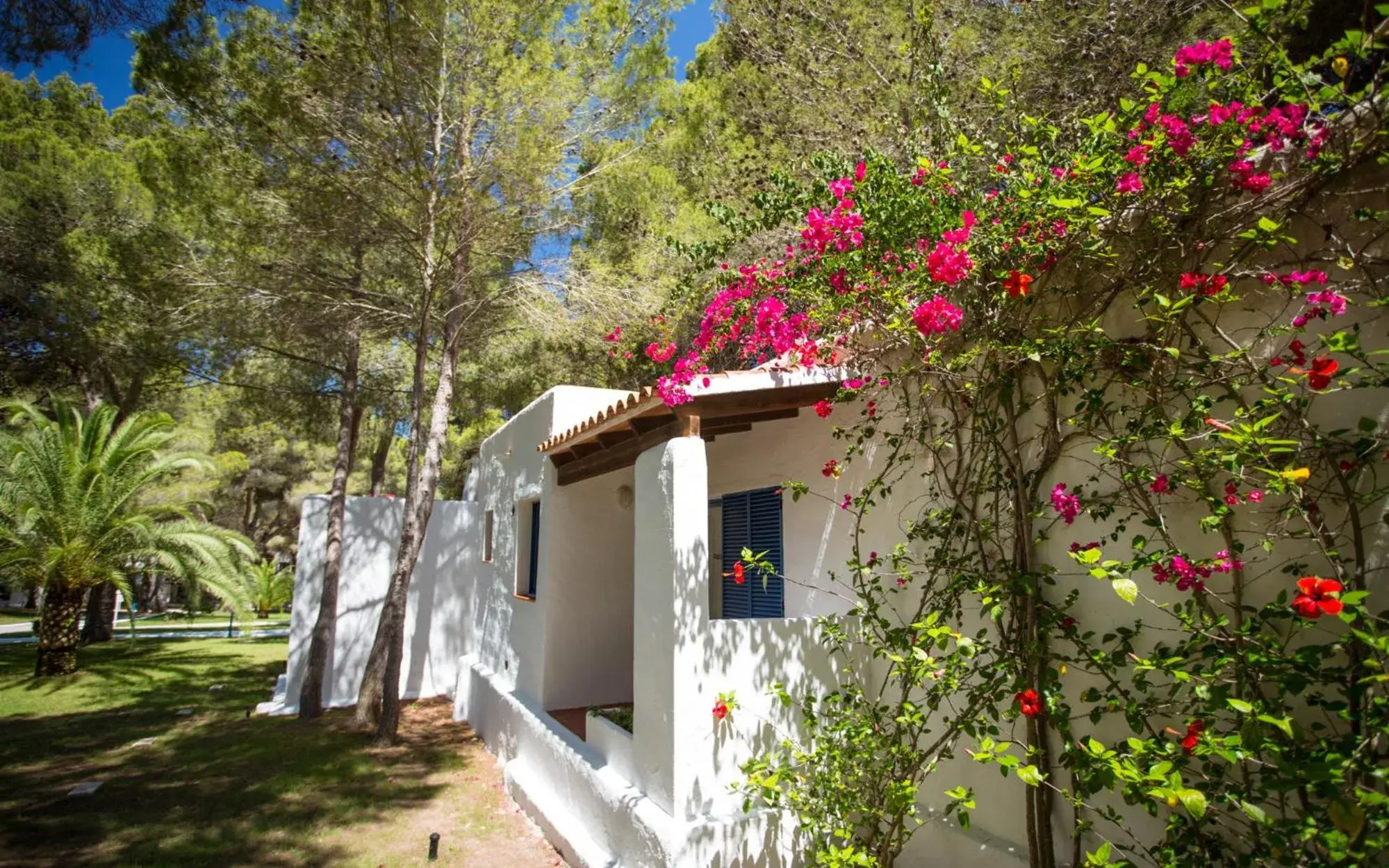 Garden view in Insotel Club Maryland Garden view in Insotel Club Maryland