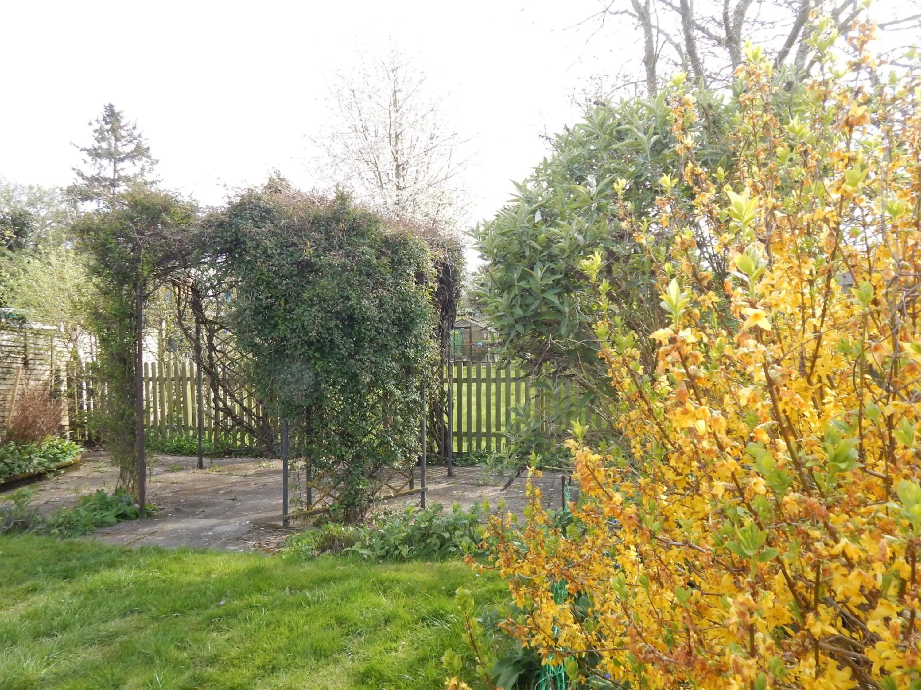 Spring in Modern, well located en-suite rooms with parking & all facilities