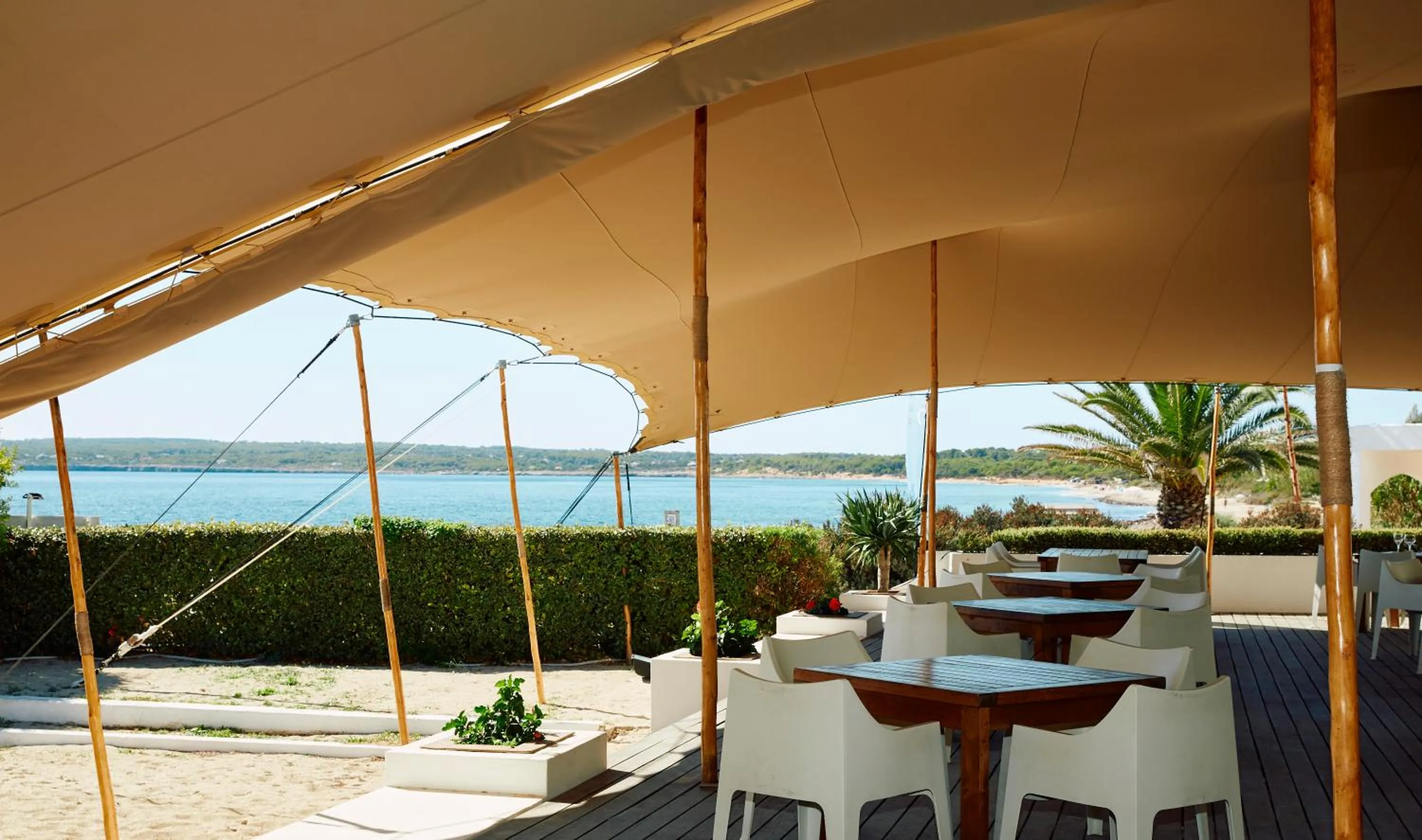 Restaurant/places to eat in Insotel Hotel Formentera Playa