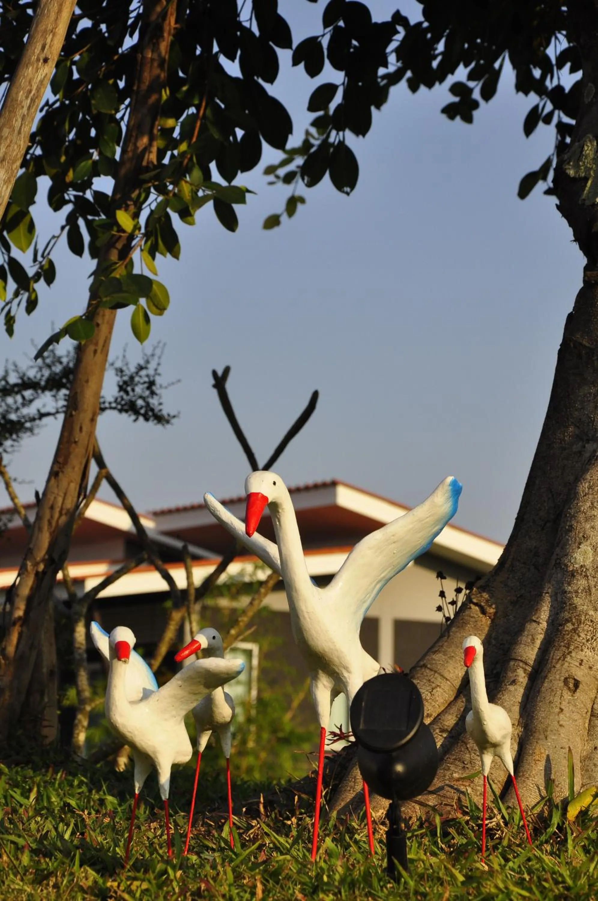 Area and facilities in Chiang Rai Khuakrae Resort