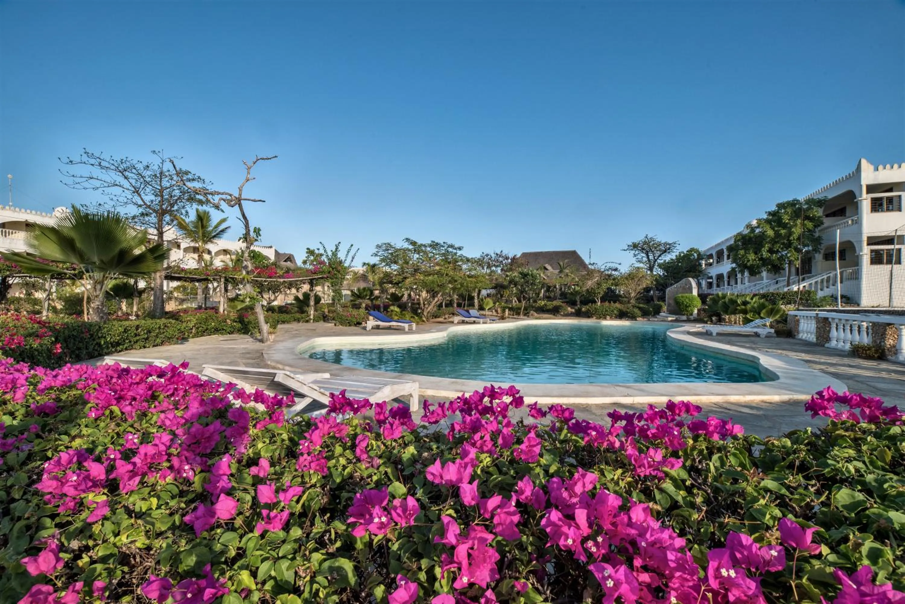 Swimming pool in Jumbo Club Watamu