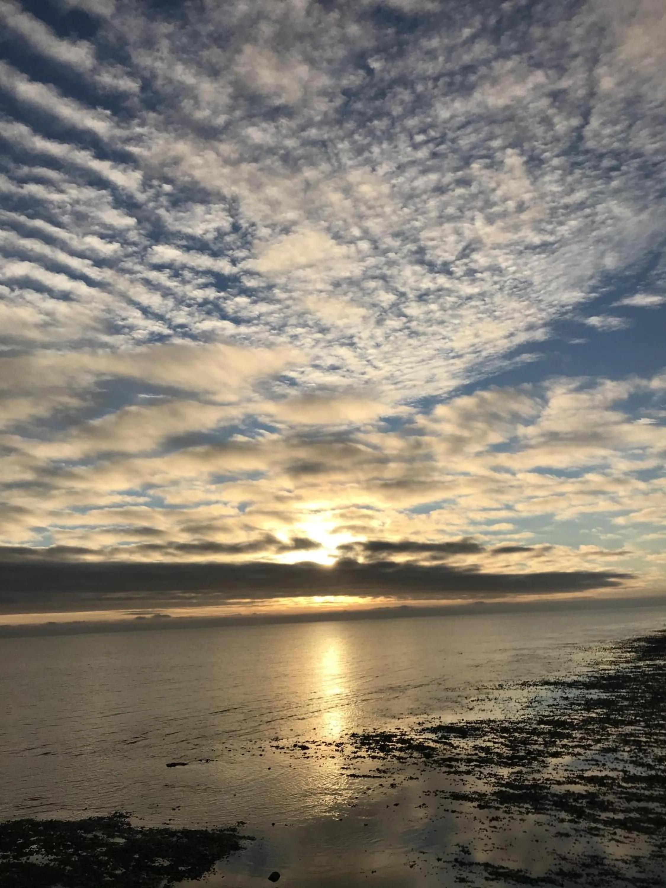 Beach in Pebble Cottage